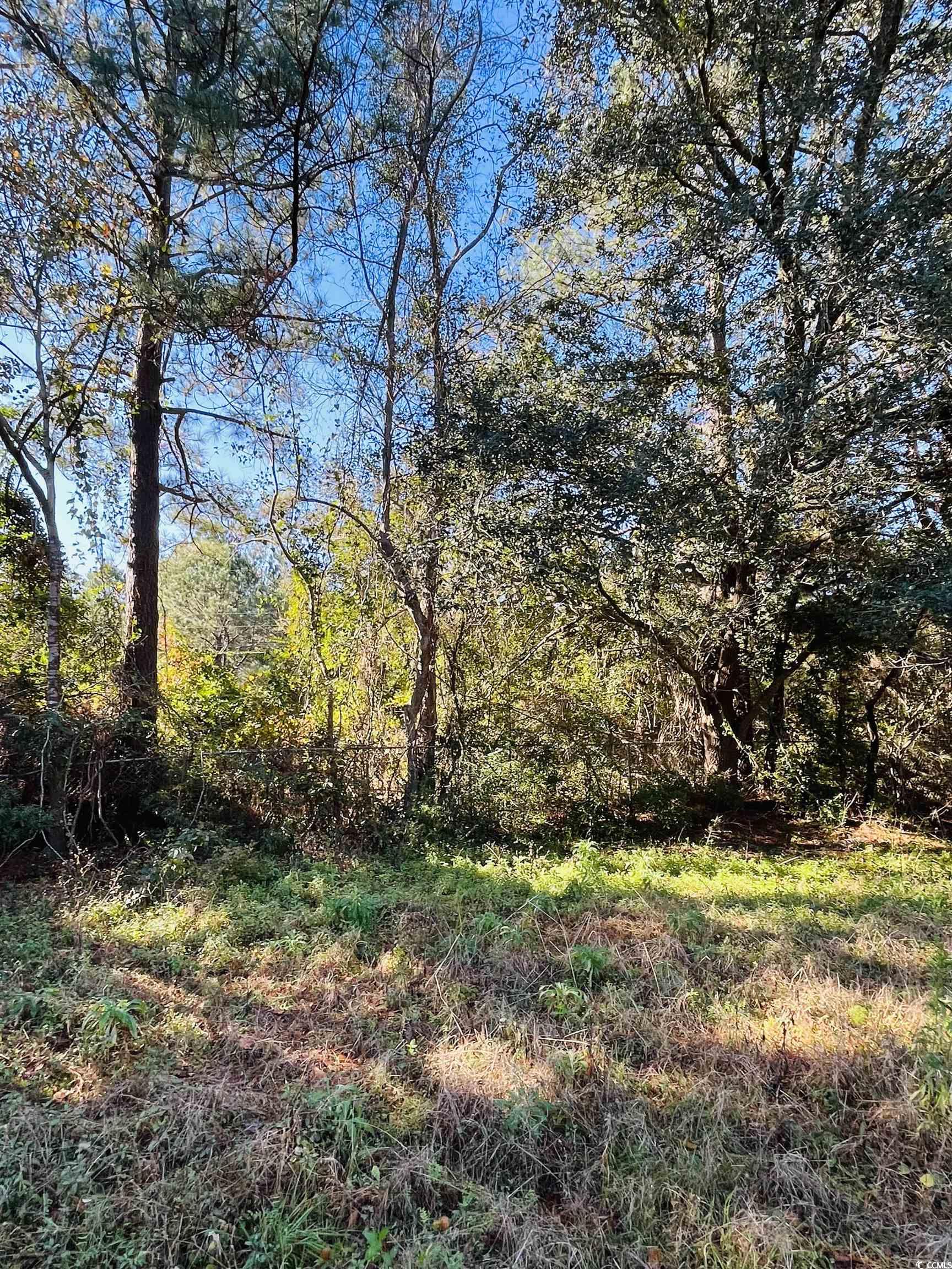 Lot 31 Oak Bay Dr. Property Photo 20