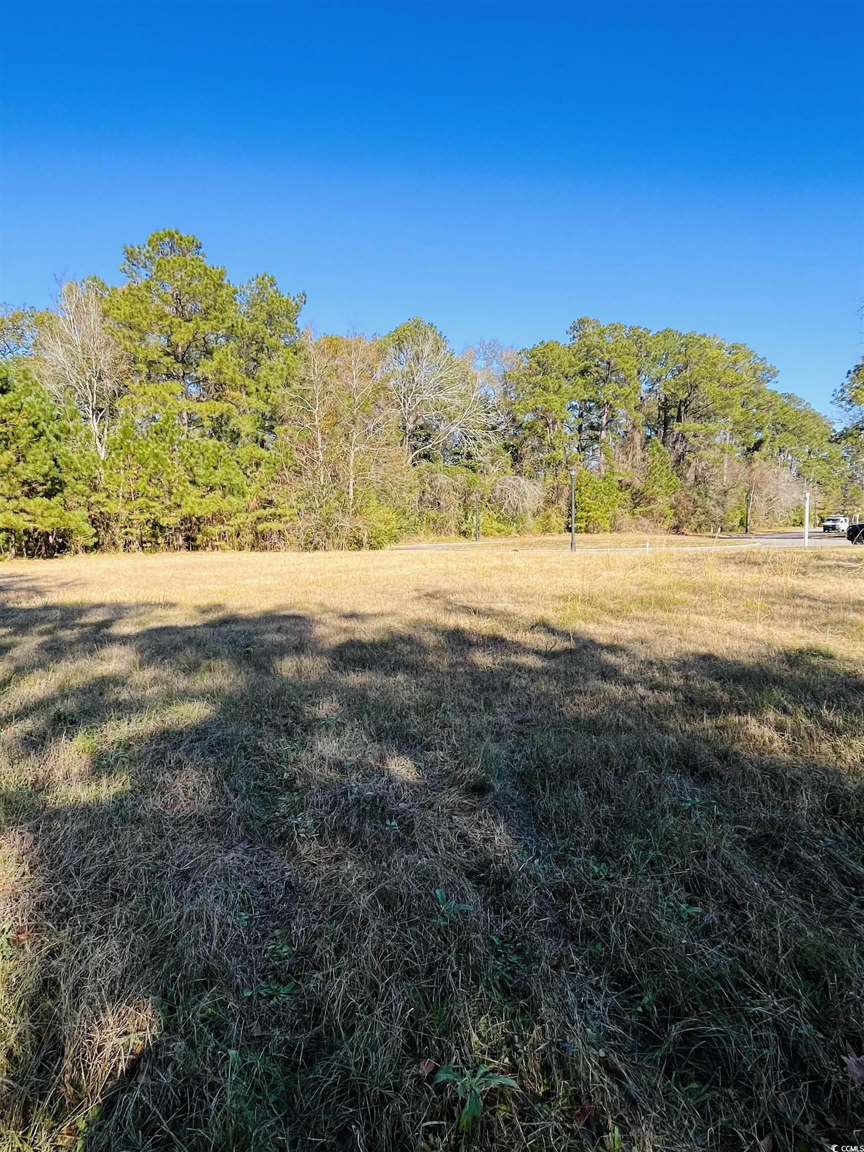 Lot 31 Oak Bay Dr. Property Photo 21