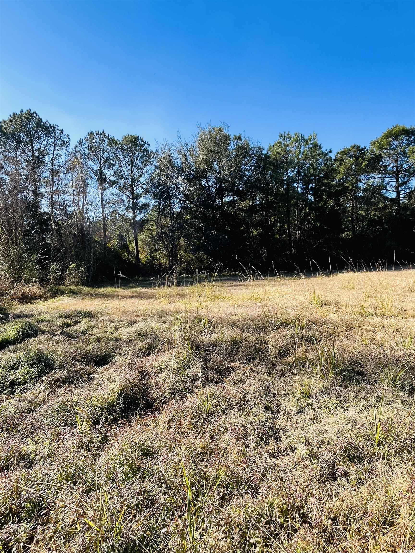 Lot 31 Oak Bay Dr. Property Photo 22