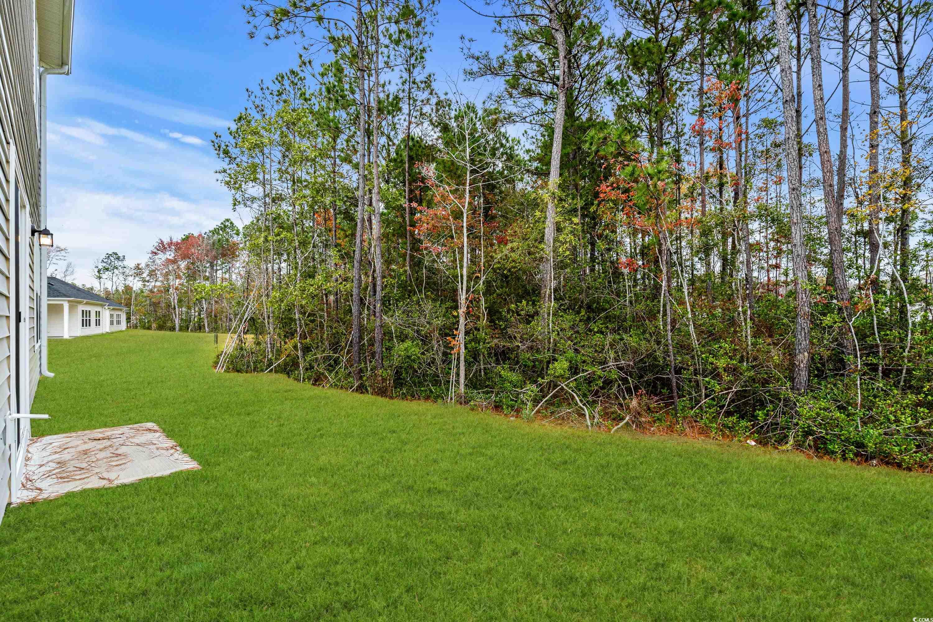 3539 Rayner Cove Ct. Property Photo 15