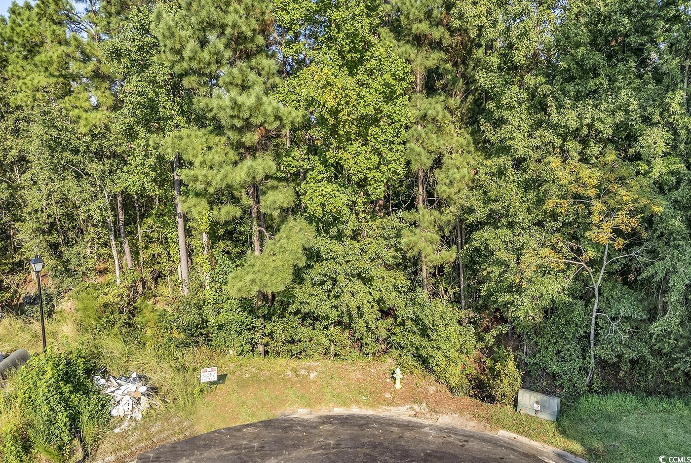 425 Pilot House Dr. Property Photo 3