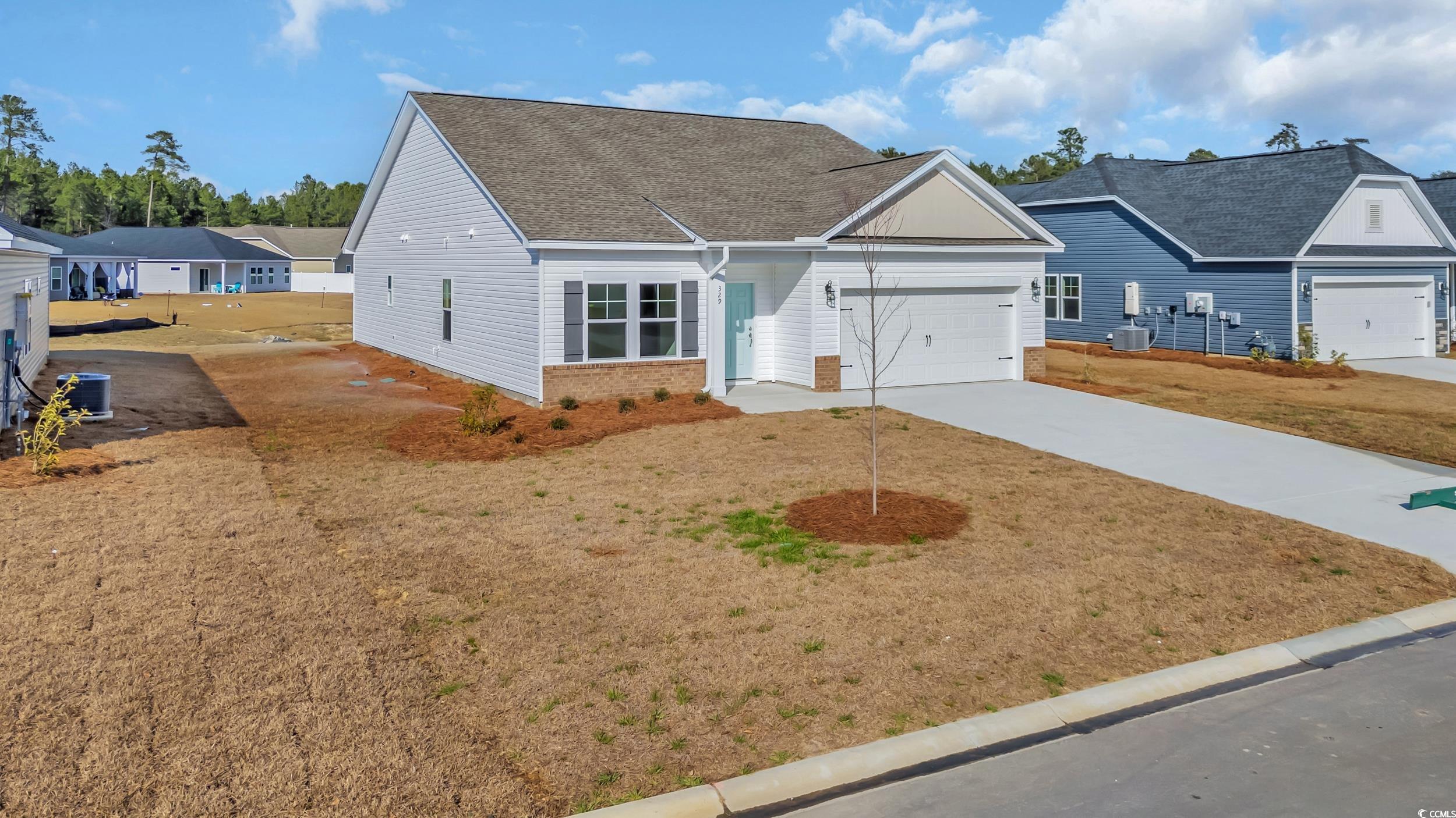 329 Palmetto Sand Loop Property Photo