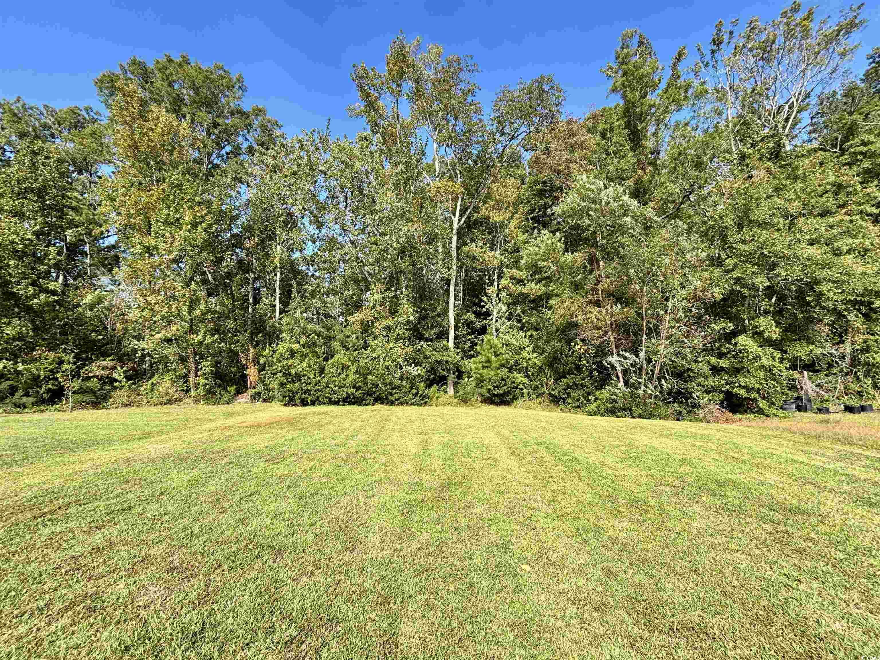 209 Foxpath Loop Property Photo 33
