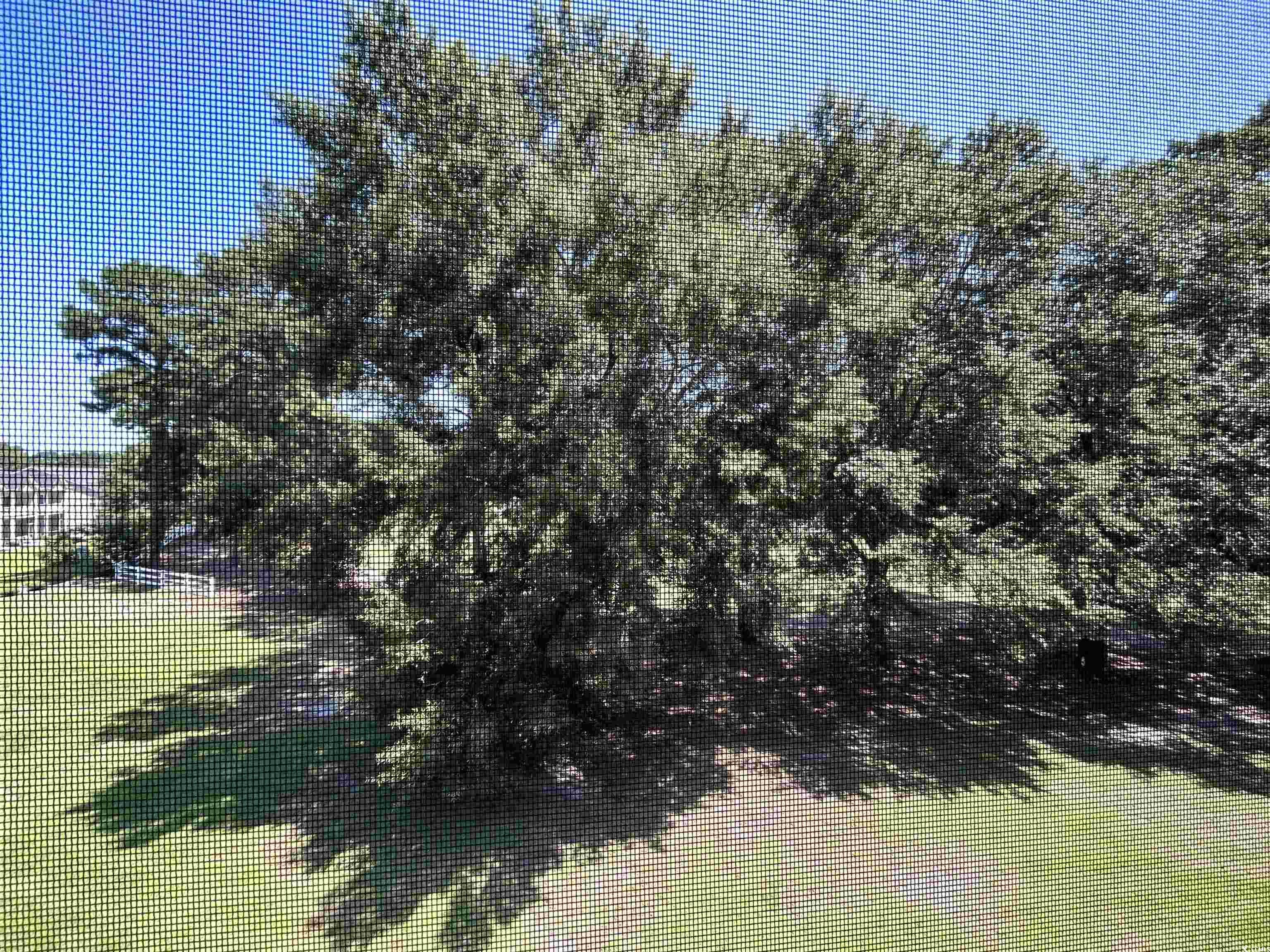 1525 Lantern Rest Dr. Property Photo 13