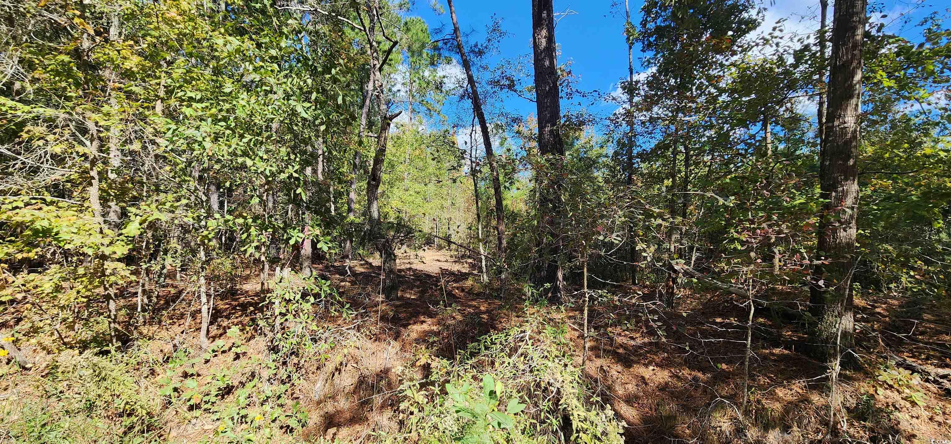 1661 Doughty Rd Property Photo 18