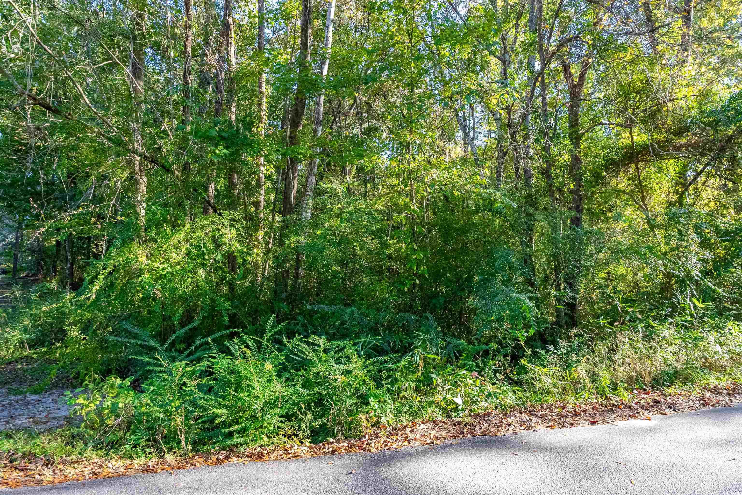 Tbd Barnes Rd. Property Photo 3