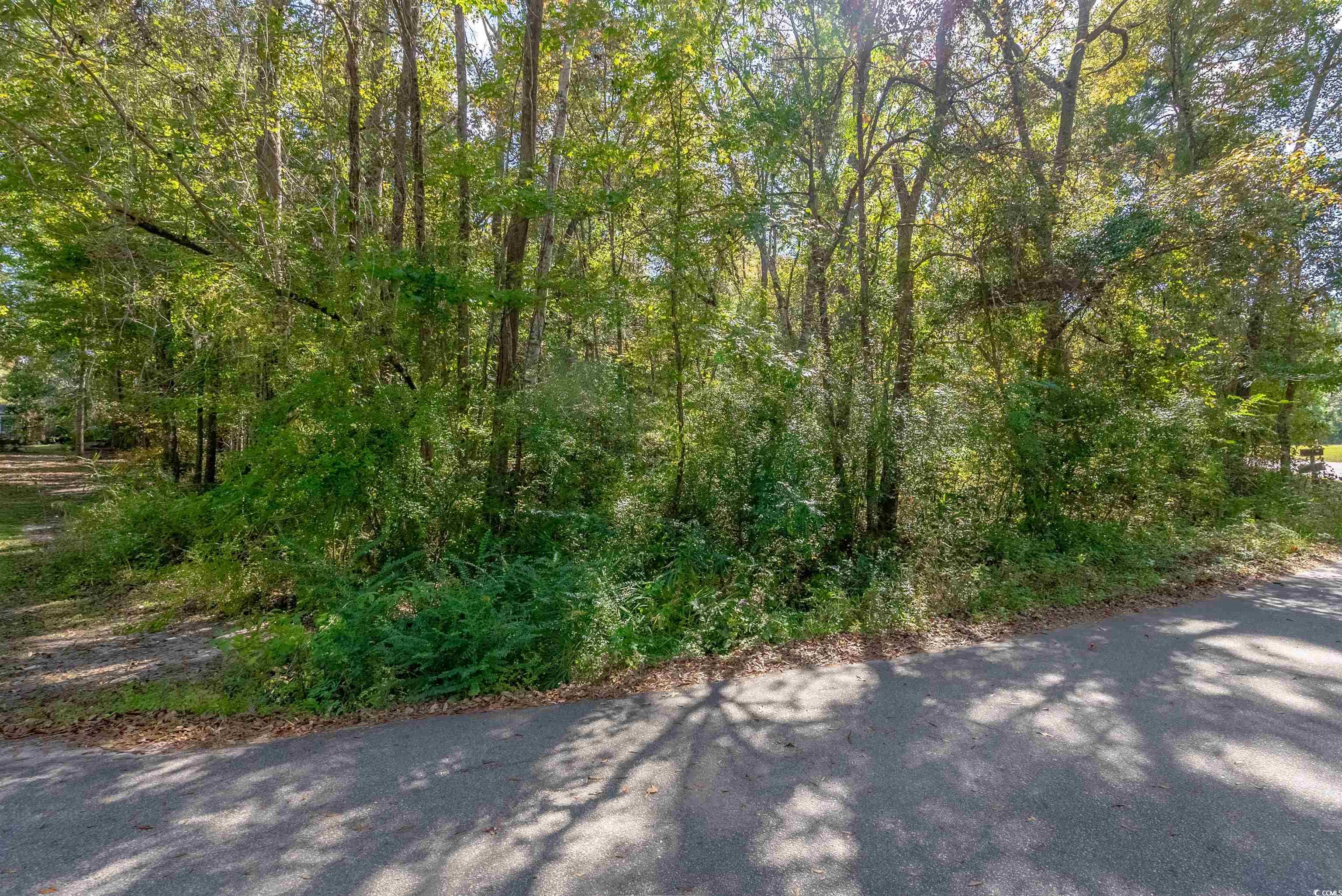 Tbd Barnes Rd. Property Photo 4