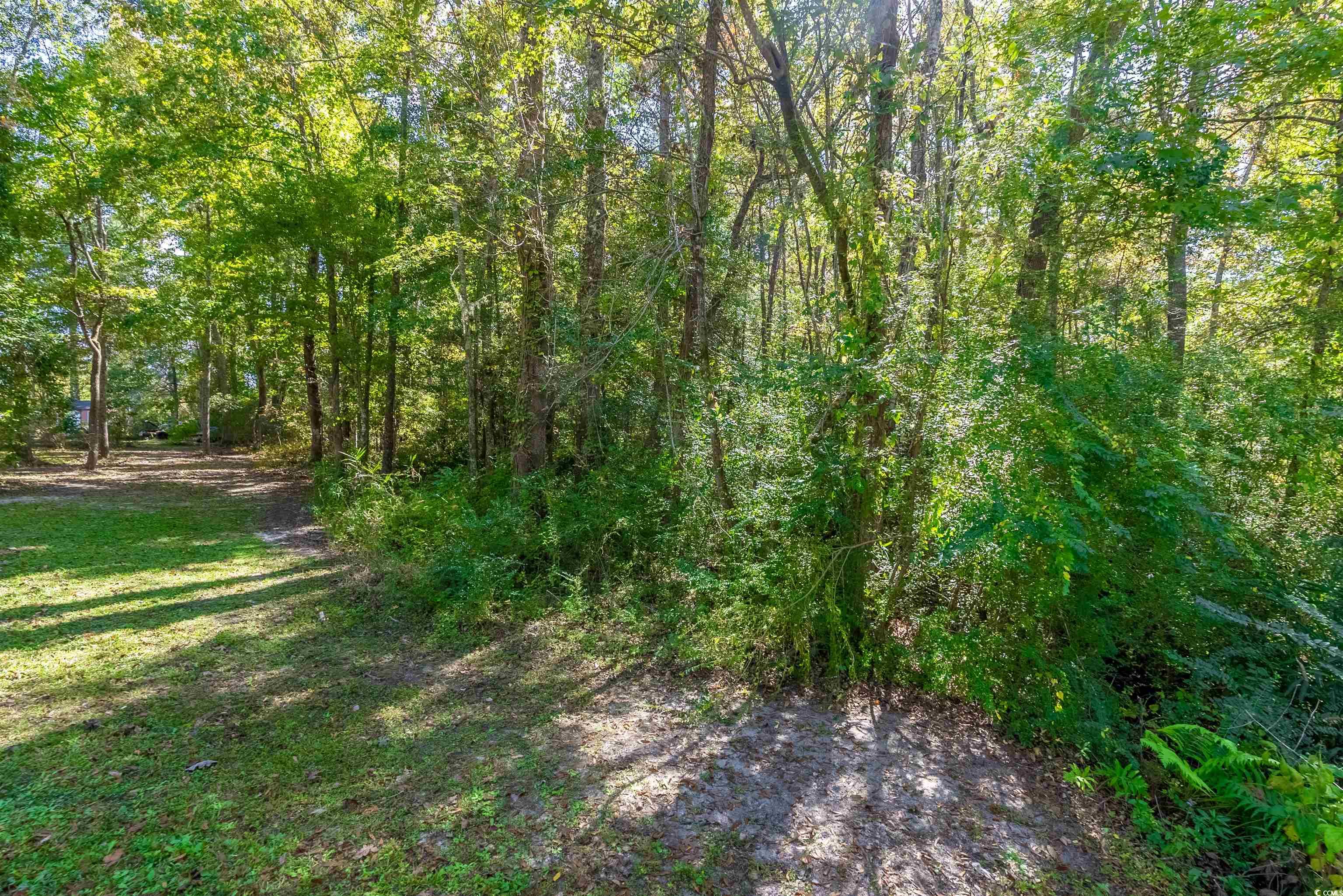 Tbd Barnes Rd. Property Photo 5