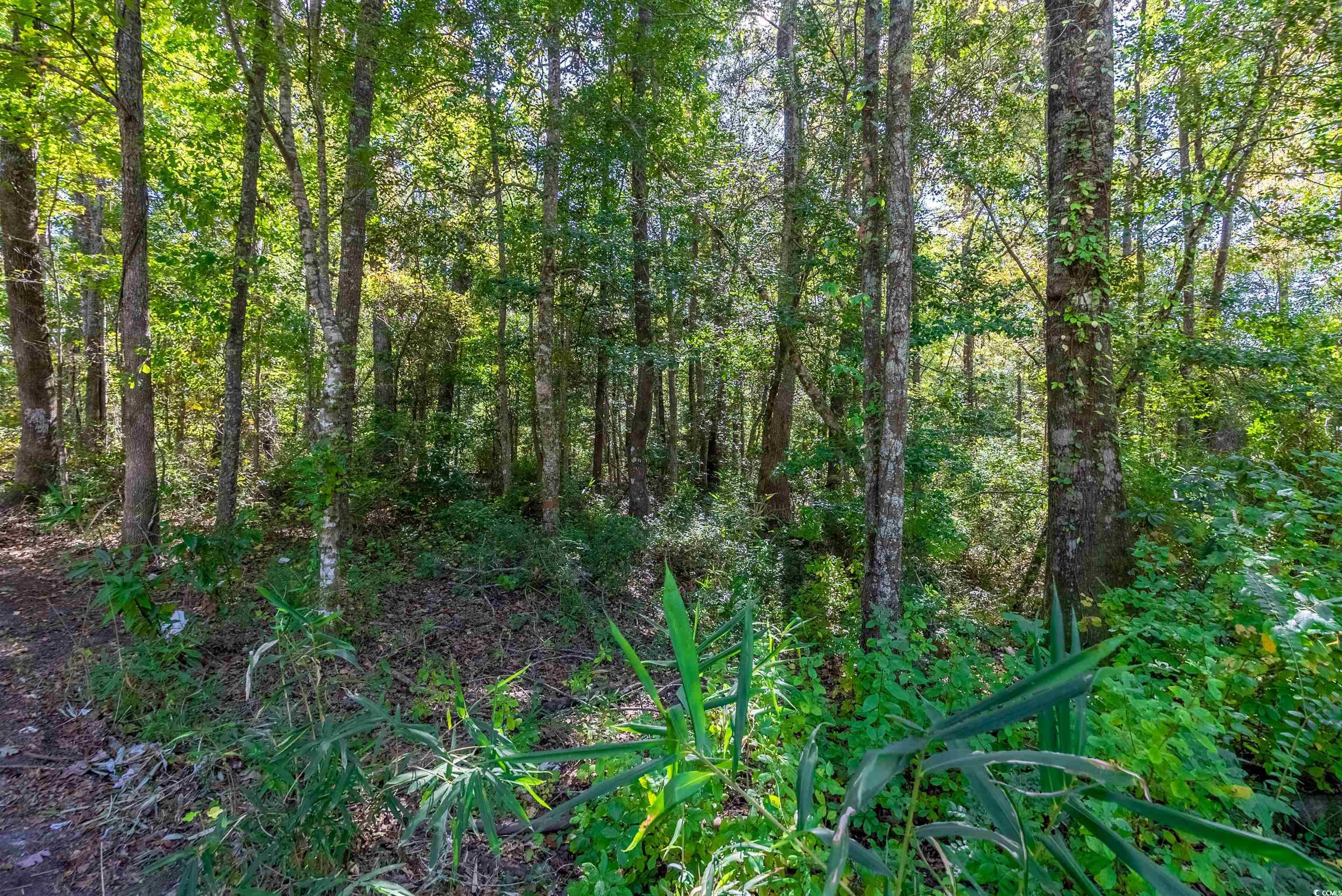 Tbd Barnes Rd. Property Photo 6