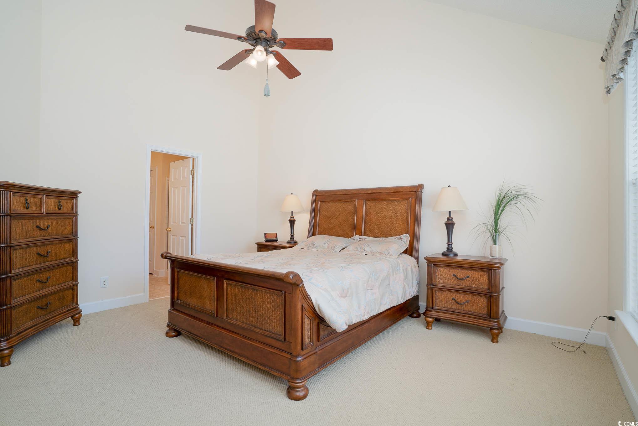 206 Mossy Stone Ct. Property Photo 19