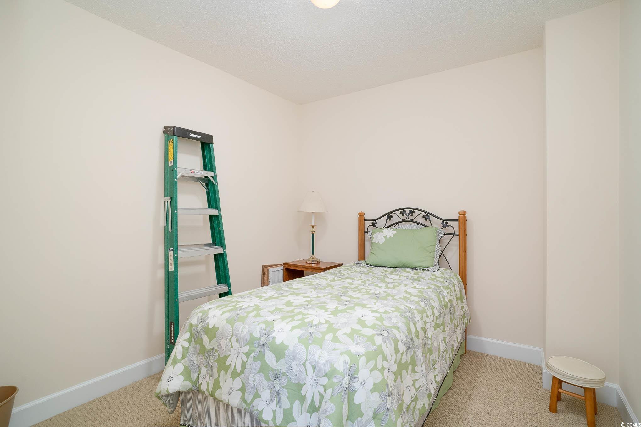 206 Mossy Stone Ct. Property Photo 28