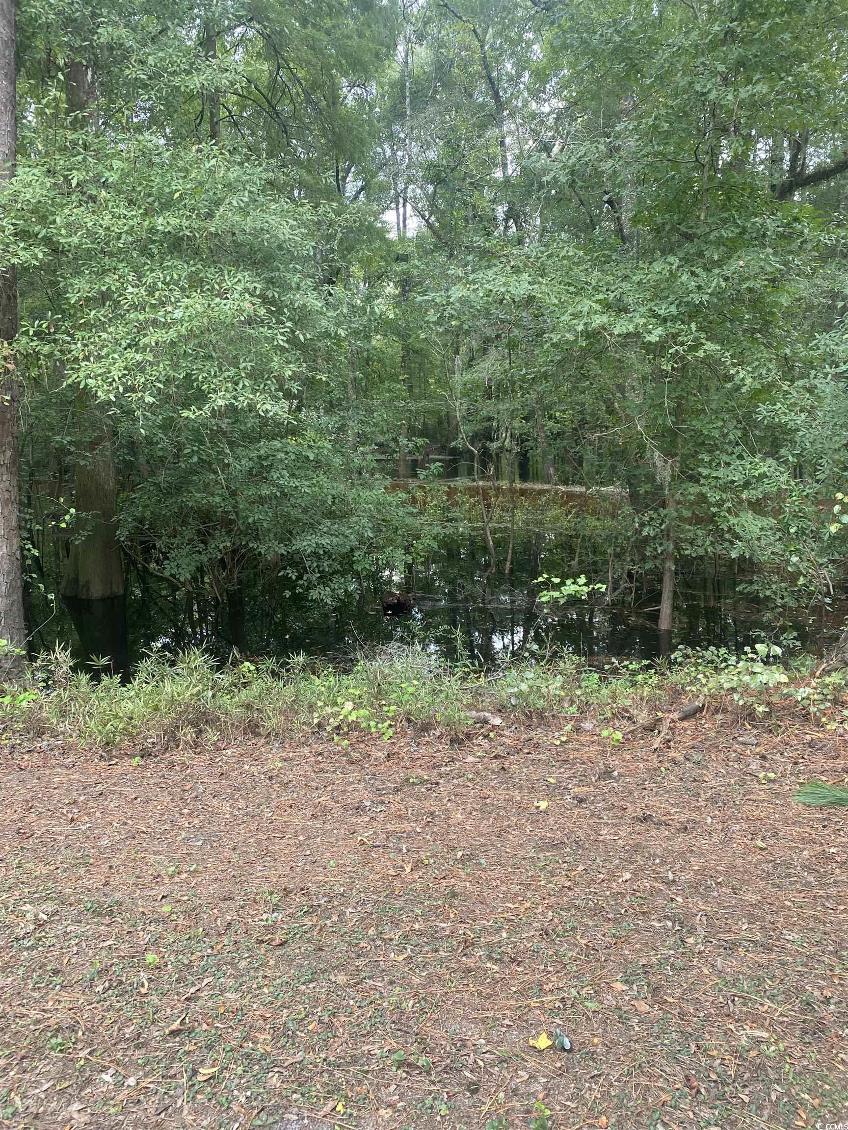 708 Grices Ferry Ct. Property Photo 7