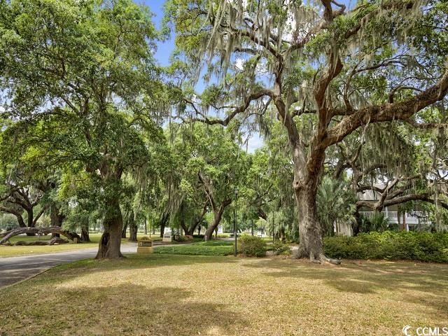 14290 Ocean Hwy. Property Photo 33