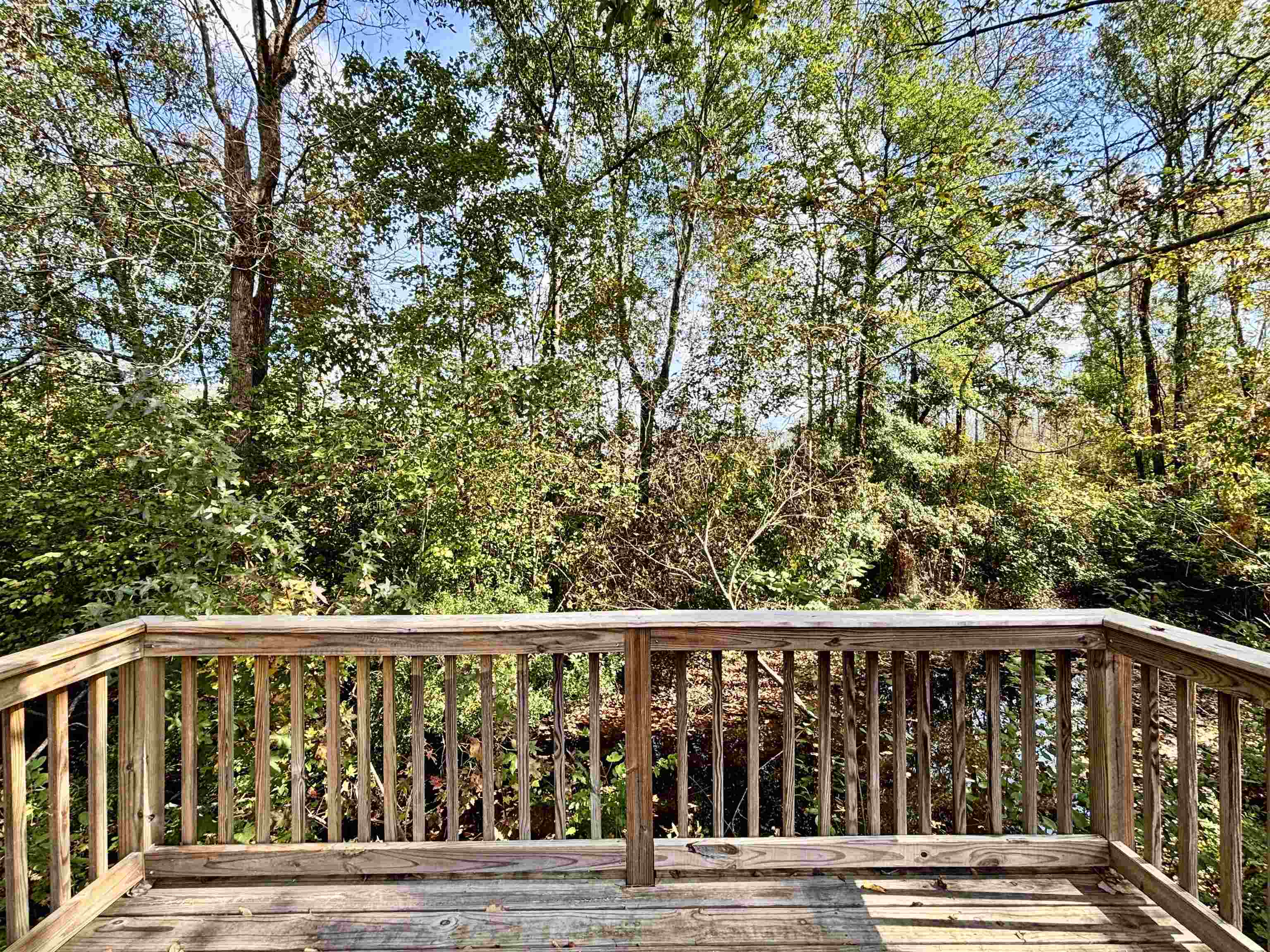 3762 Comfort Ct. Property Photo 39