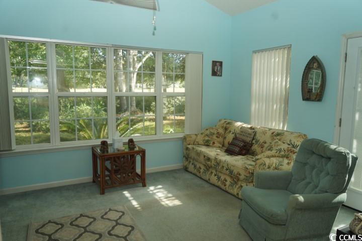 9606 Indigo Creek Blvd. Property Photo 8