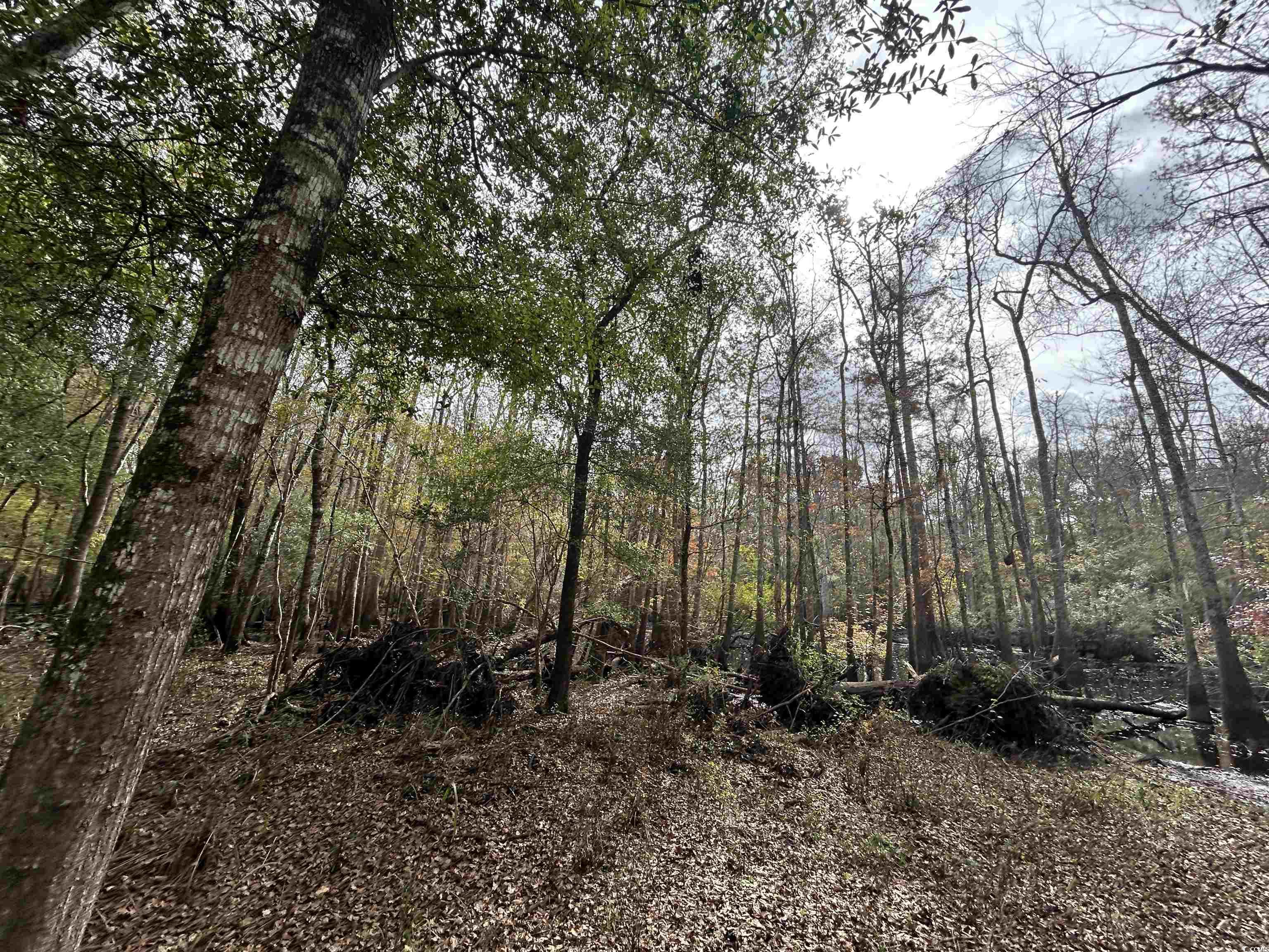 Tbd Channel View Dr. Property Photo 16