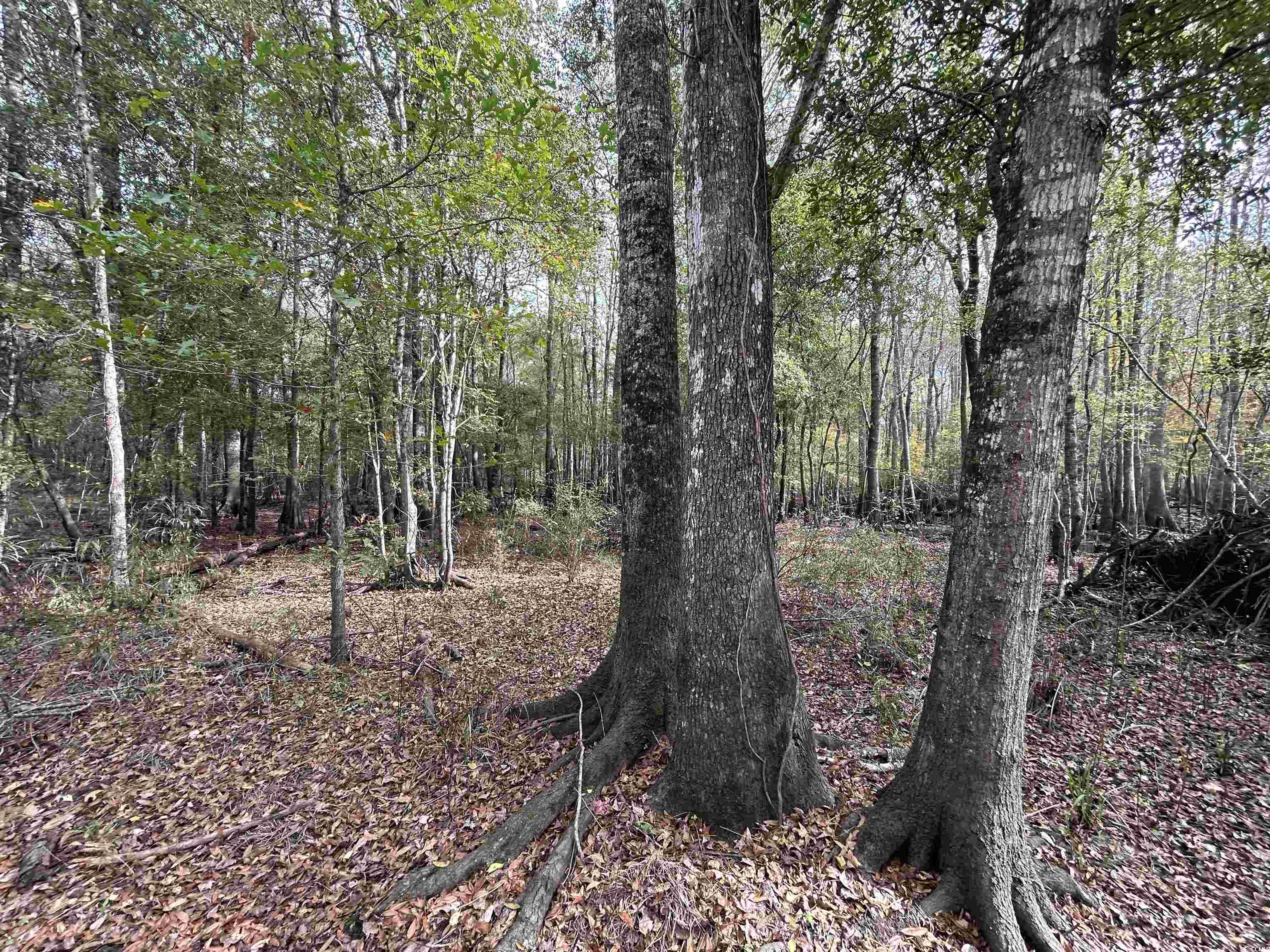 Tbd Channel View Dr. Property Photo 17
