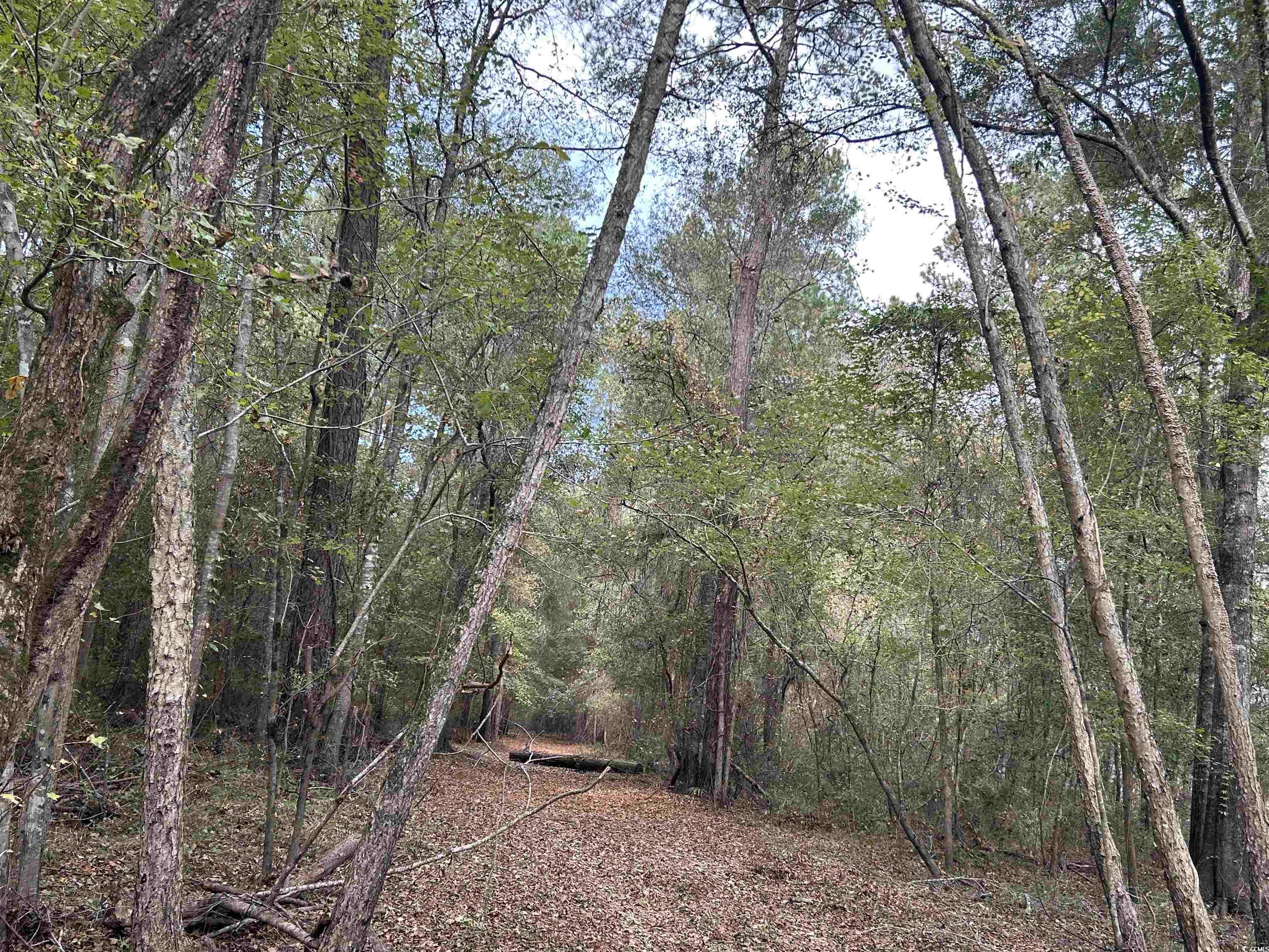 Tbd Channel View Dr. Property Photo 18
