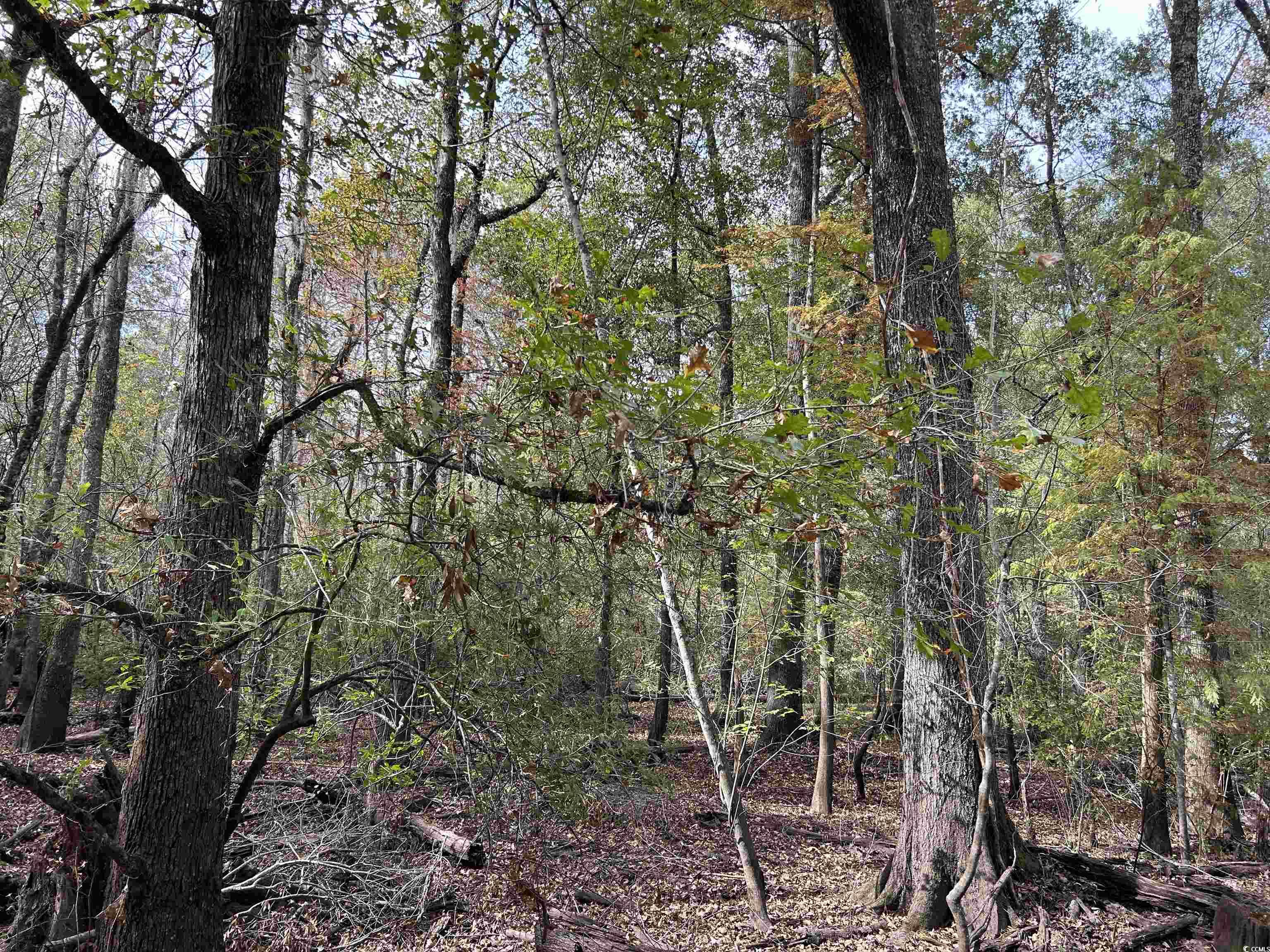 Tbd Channel View Dr. Property Photo 20