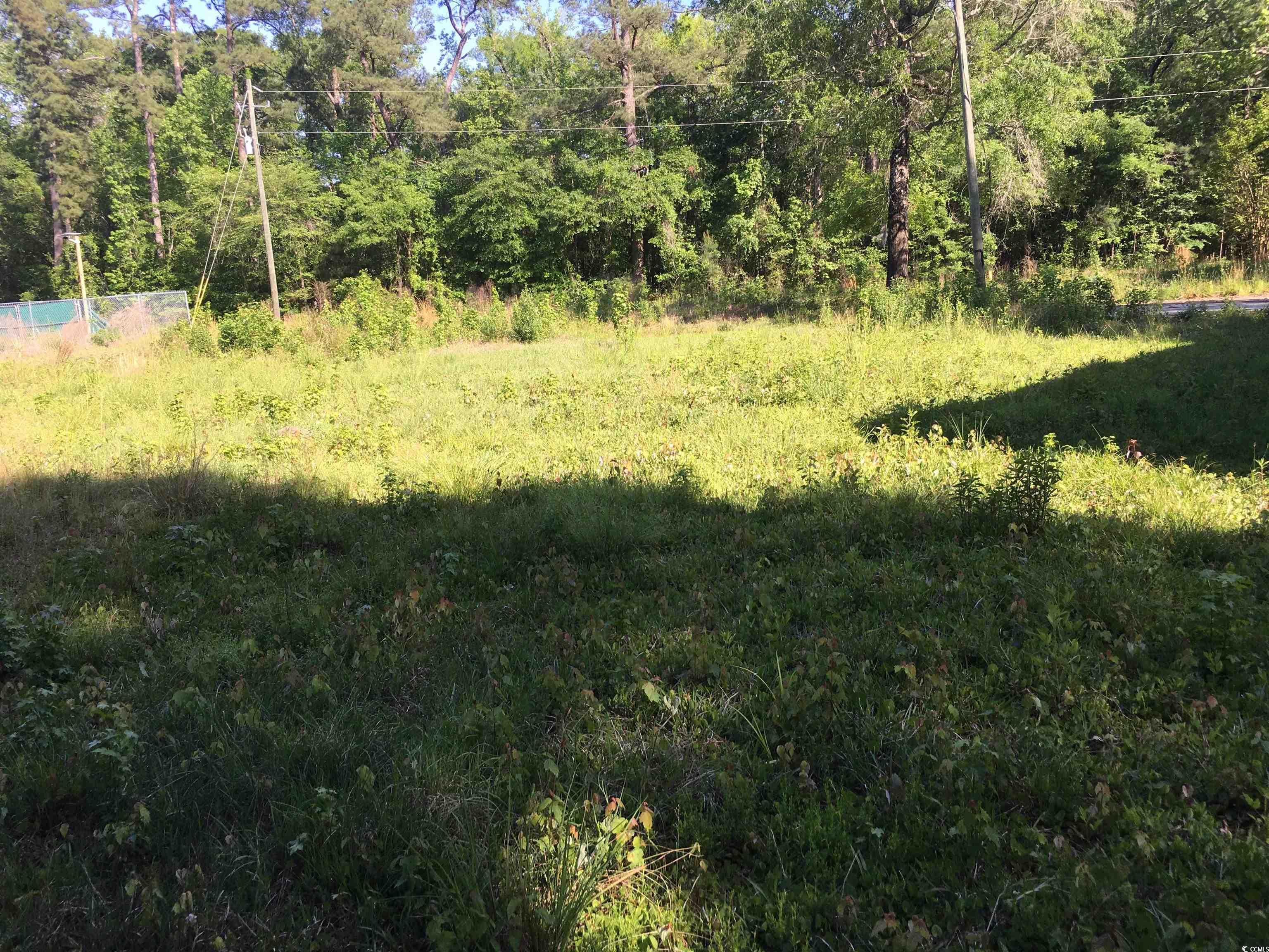 372 Waccamaw River Dr. Property Photo 7