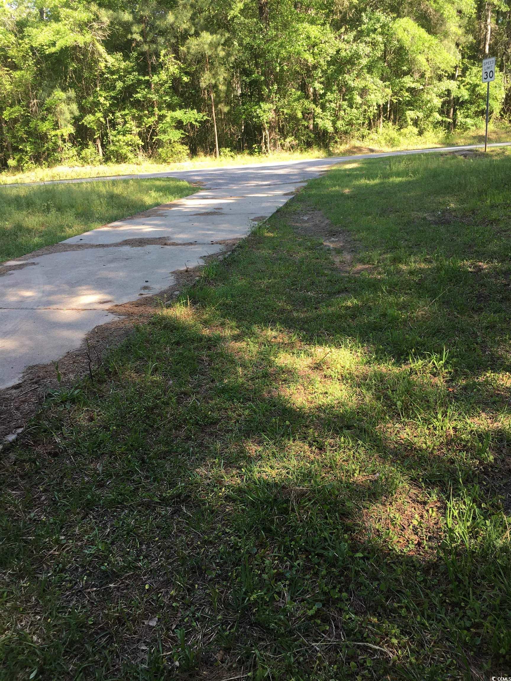 372 Waccamaw River Dr. Property Photo 10