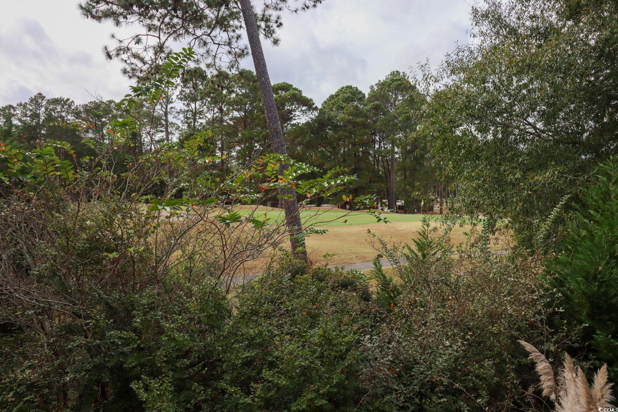 1065 Wigeon Dr. Property Photo 22