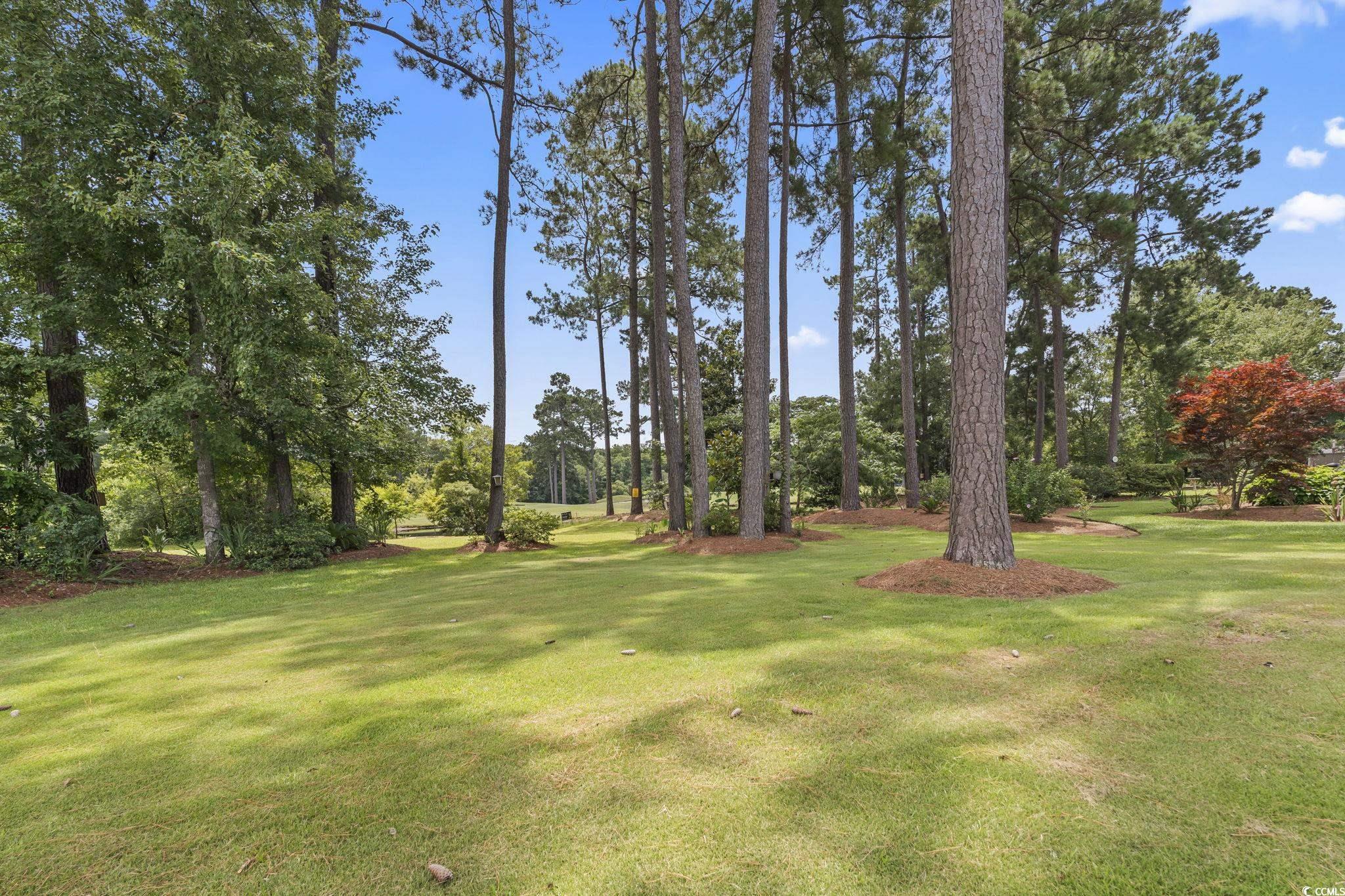 603 Bucks Trail Property Photo 30