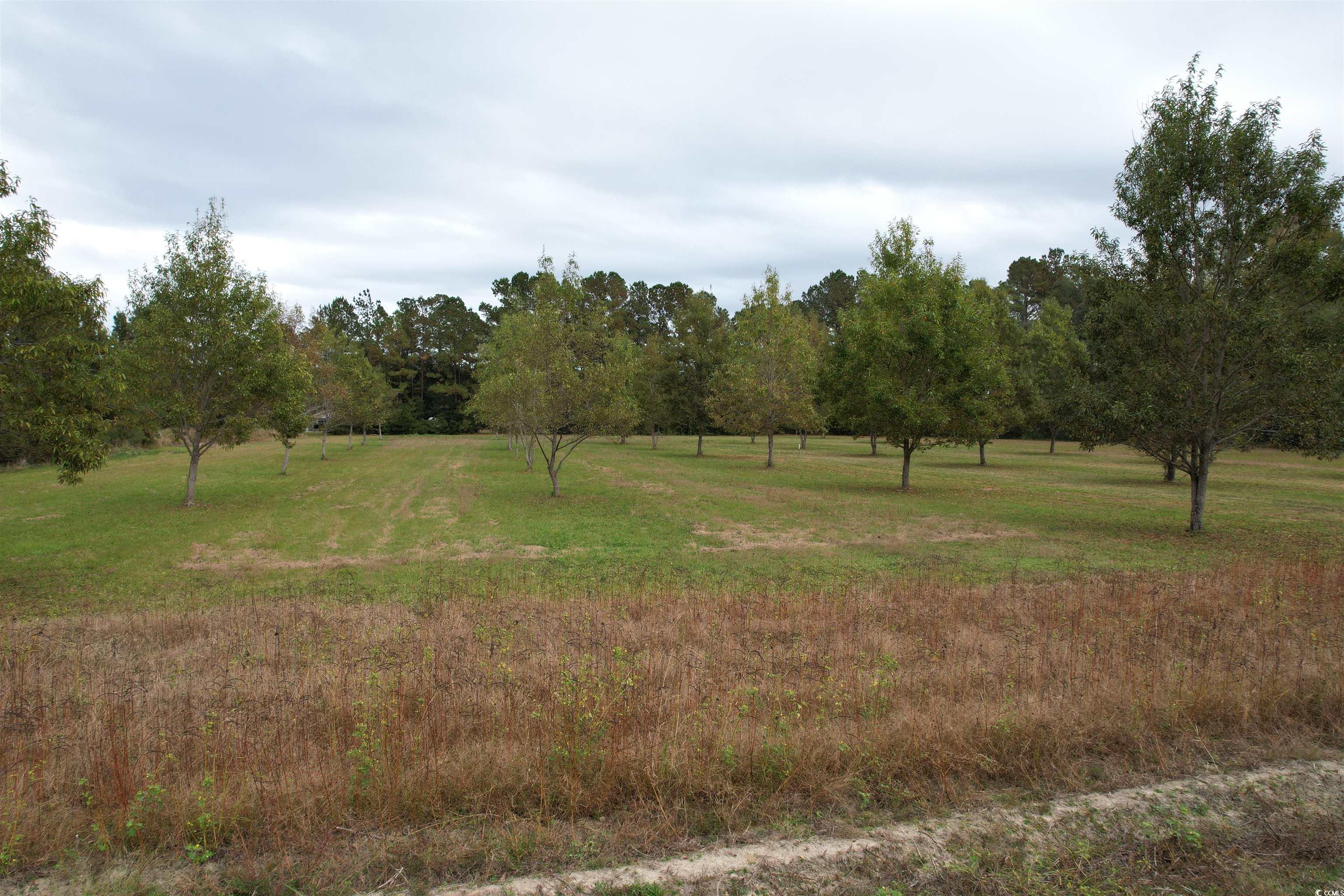 4575 Saints Delight Rd. Property Photo 23