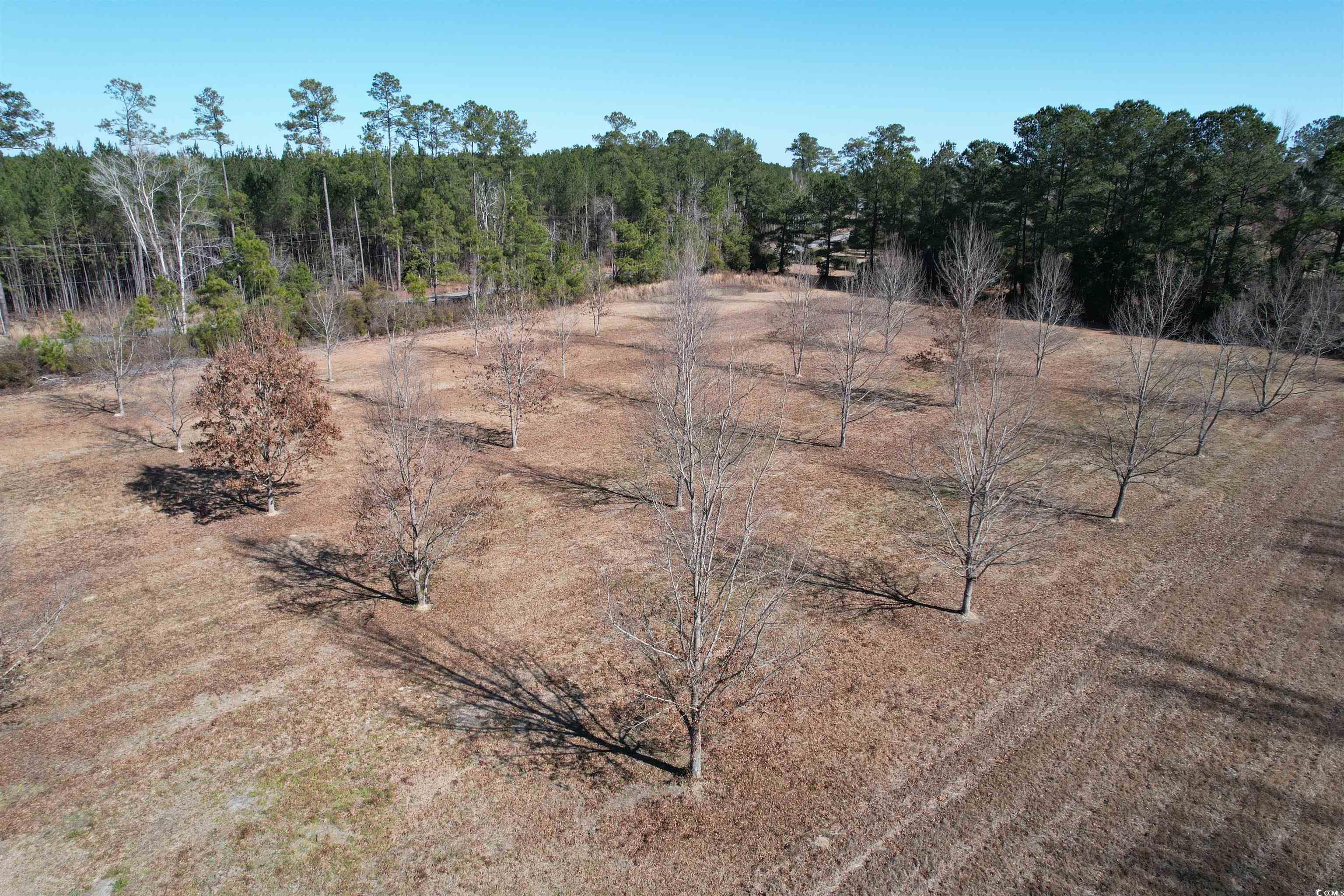 4575 Saints Delight Rd. Property Photo 29