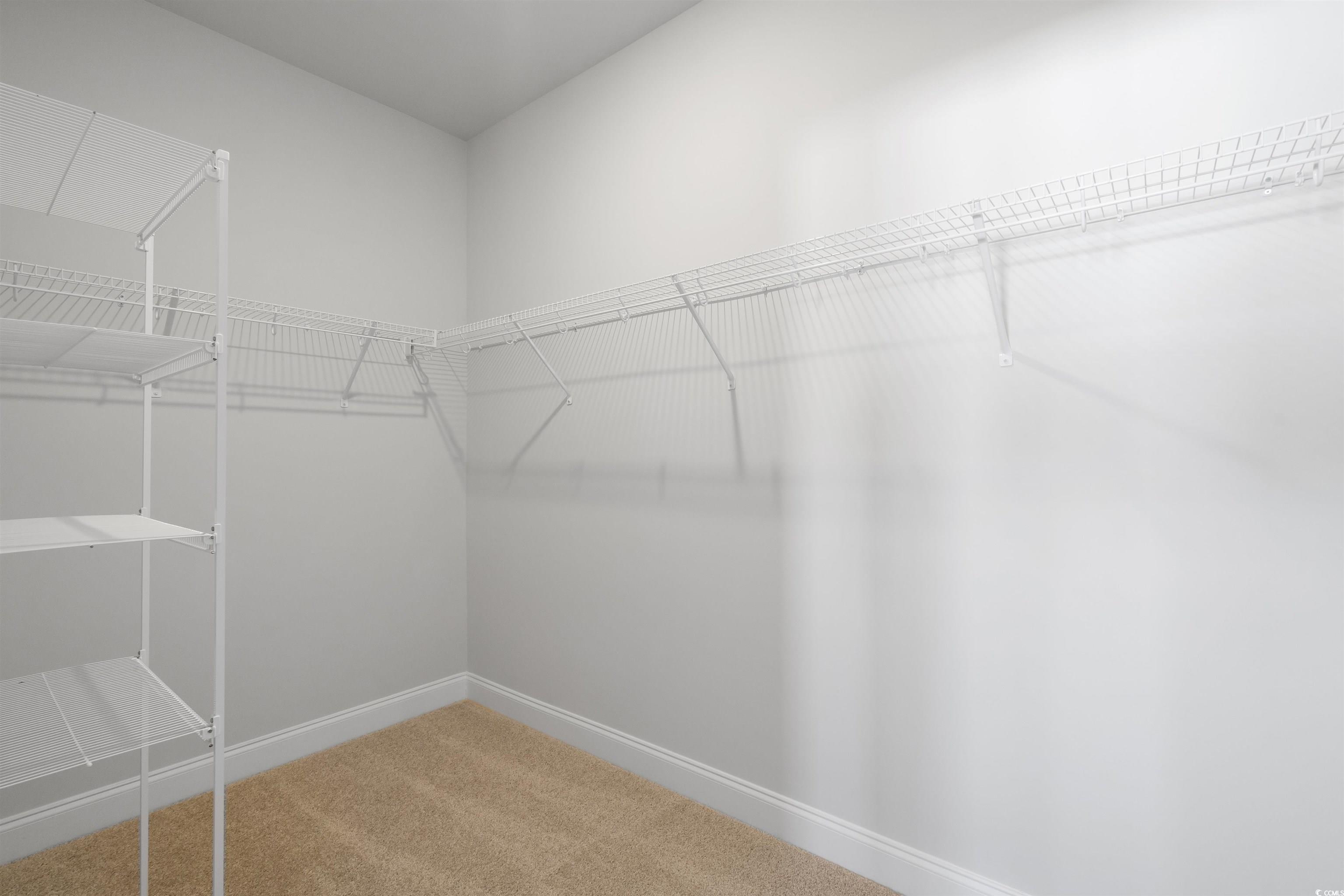 2469 Campton Loop Property Photo 22