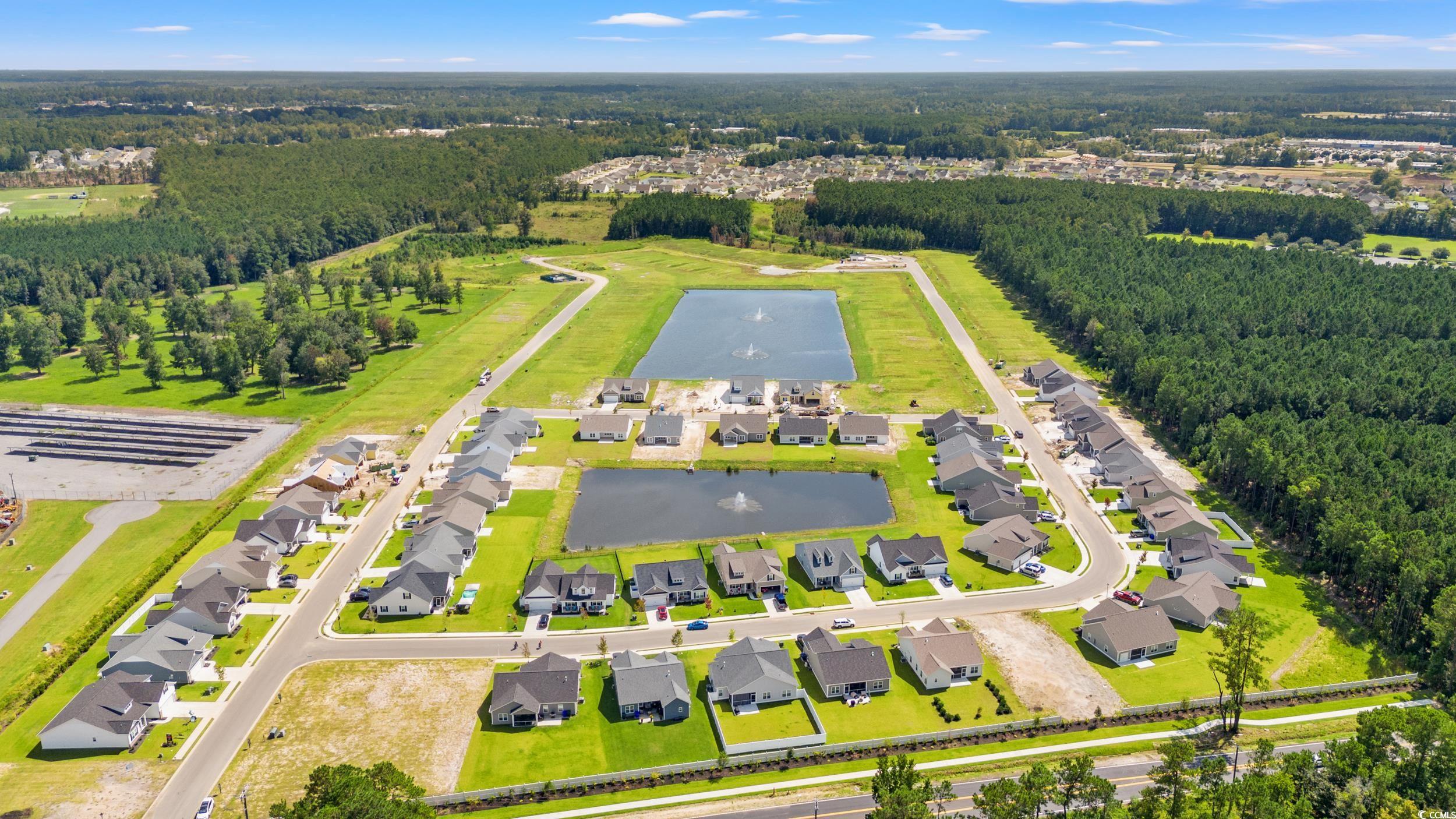 1203 Cypress Shoal Dr. Property Photo 26