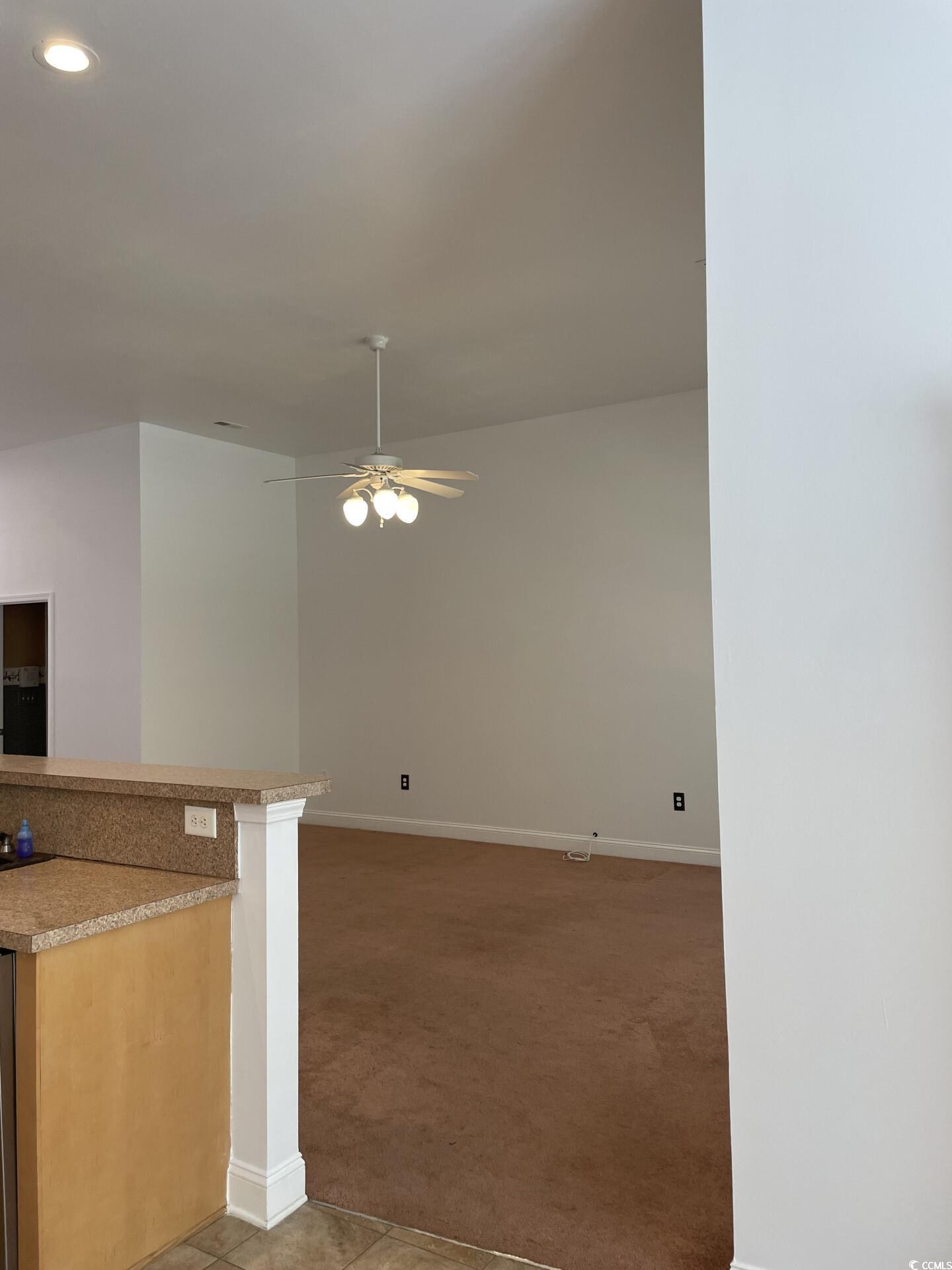323 Sea Turtle Dr. Property Photo 7
