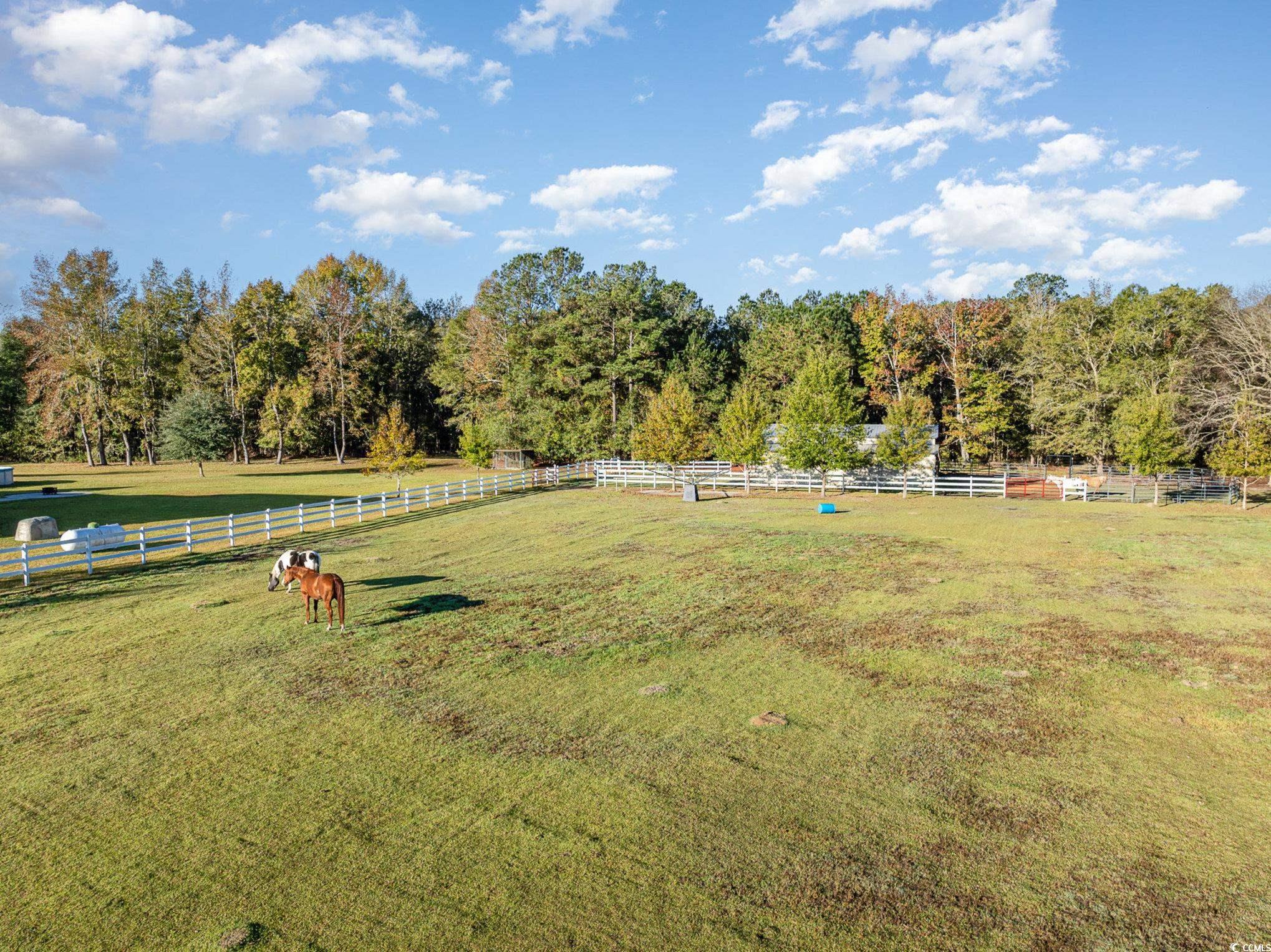 1555 Big Swamp Rd. Property Photo 9