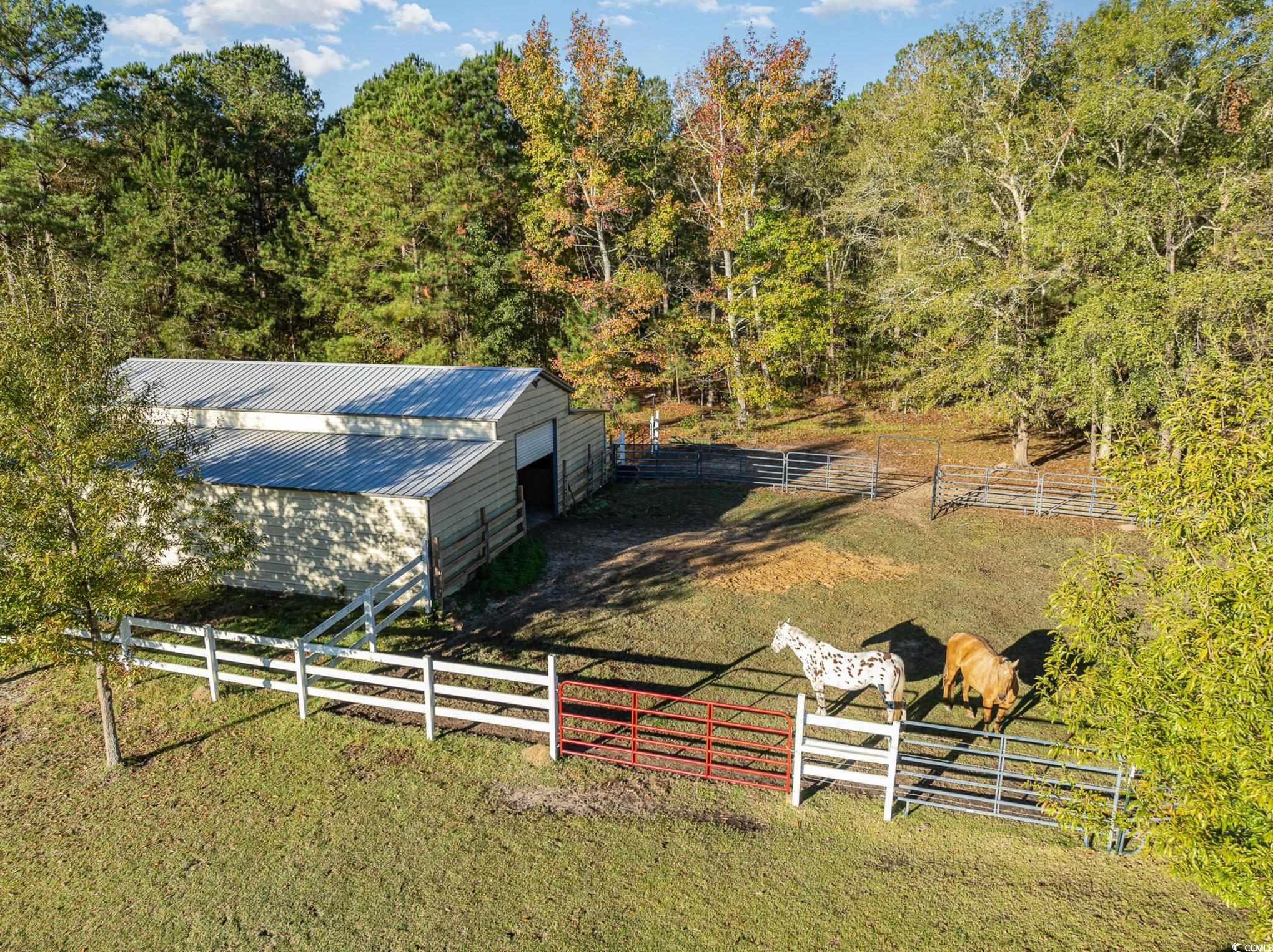 1555 Big Swamp Rd. Property Photo 12