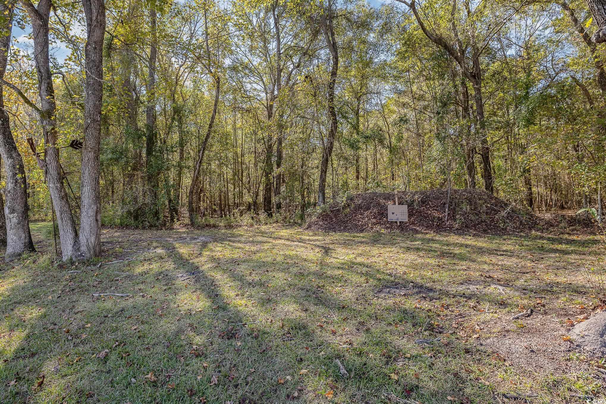 1555 Big Swamp Rd. Property Photo 17