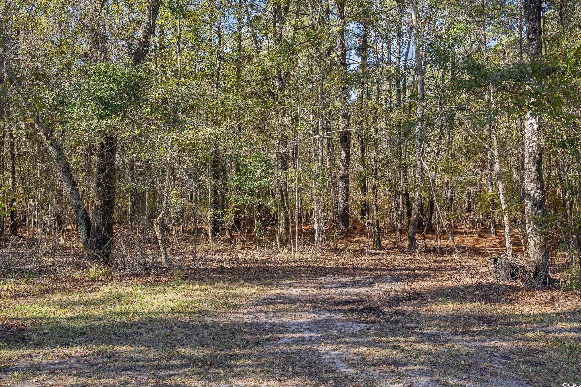 1555 Big Swamp Rd. Property Photo 18