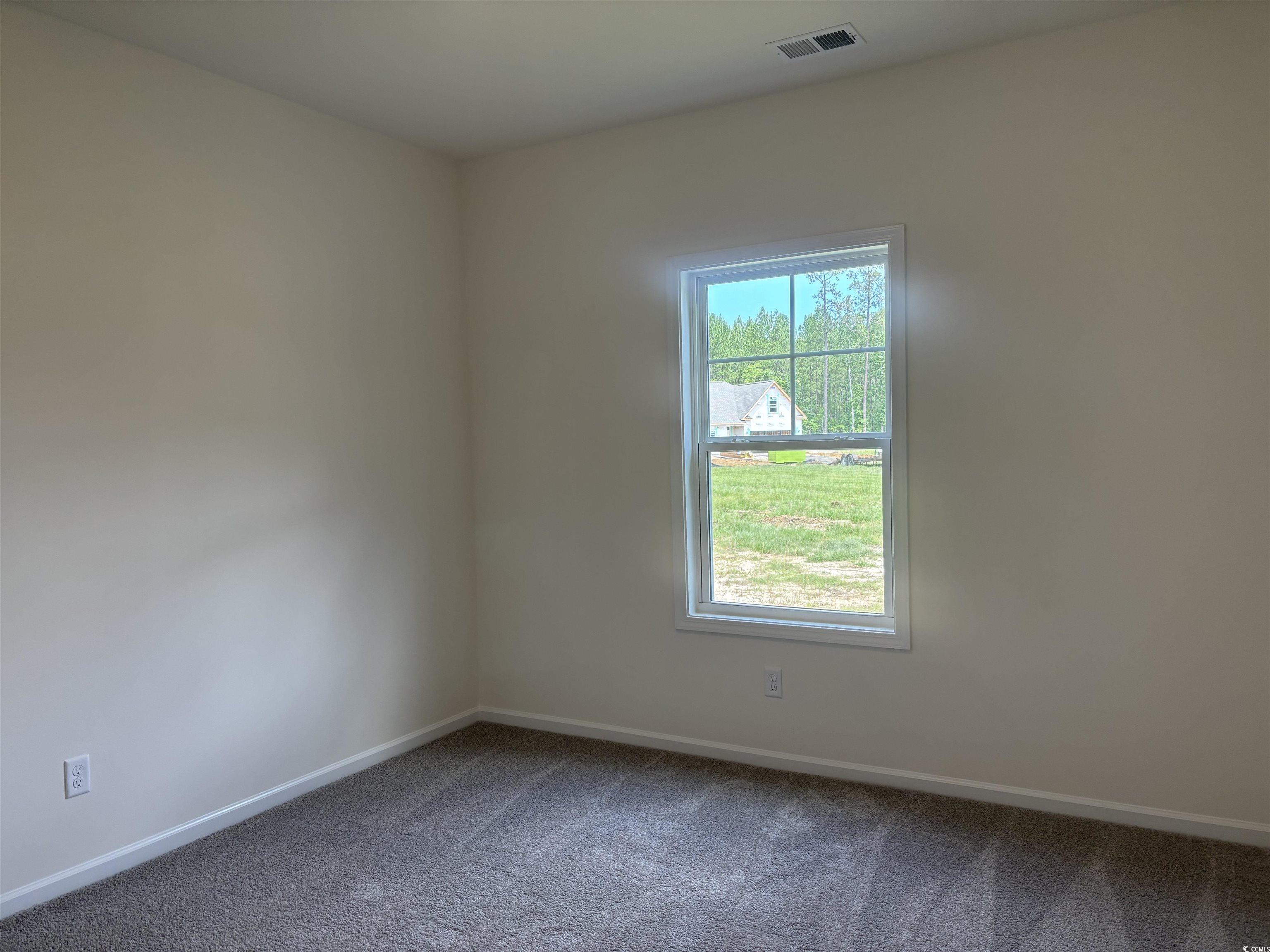 323 Palmetto Sand Loop Property Photo 15