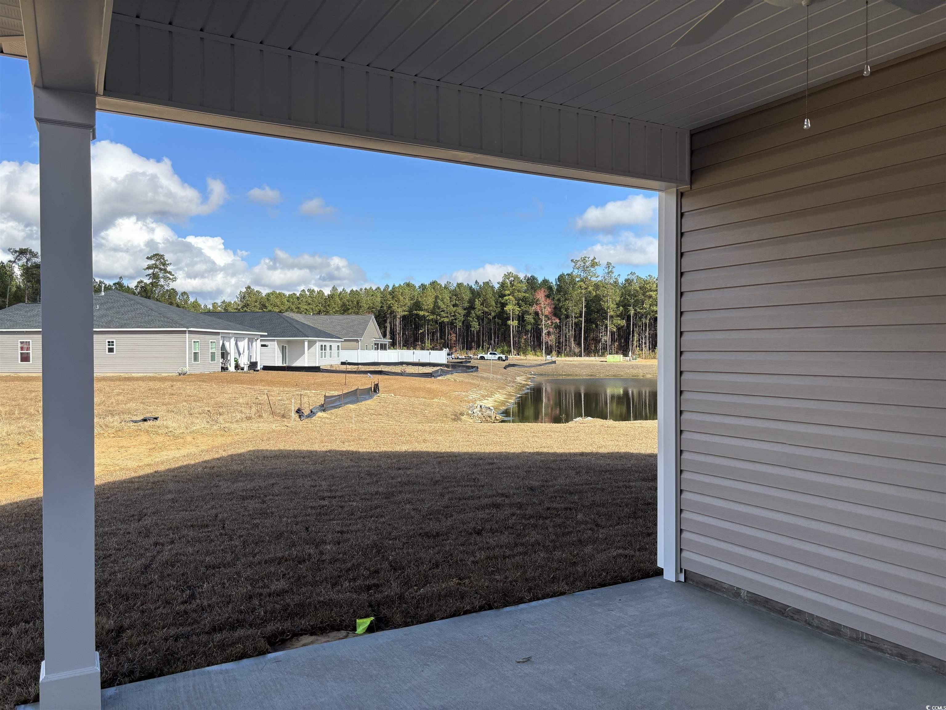 323 Palmetto Sand Loop Property Photo 19