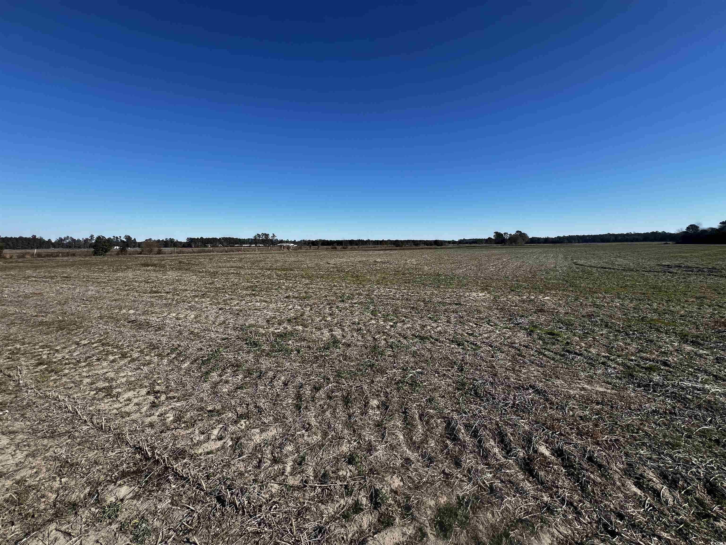 2292 Nichols Hwy. Property Photo 5