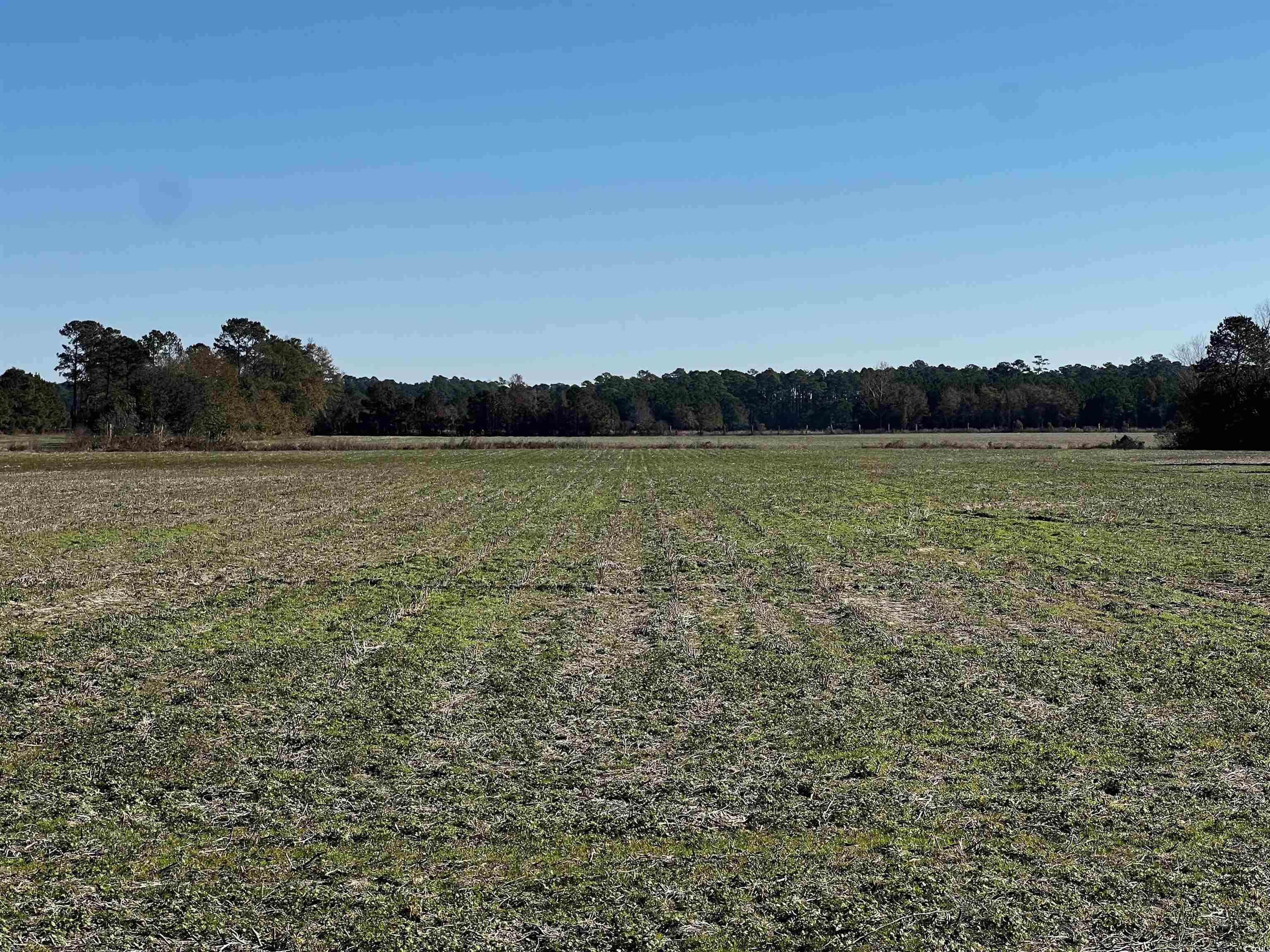2292 Nichols Hwy. Property Photo 6