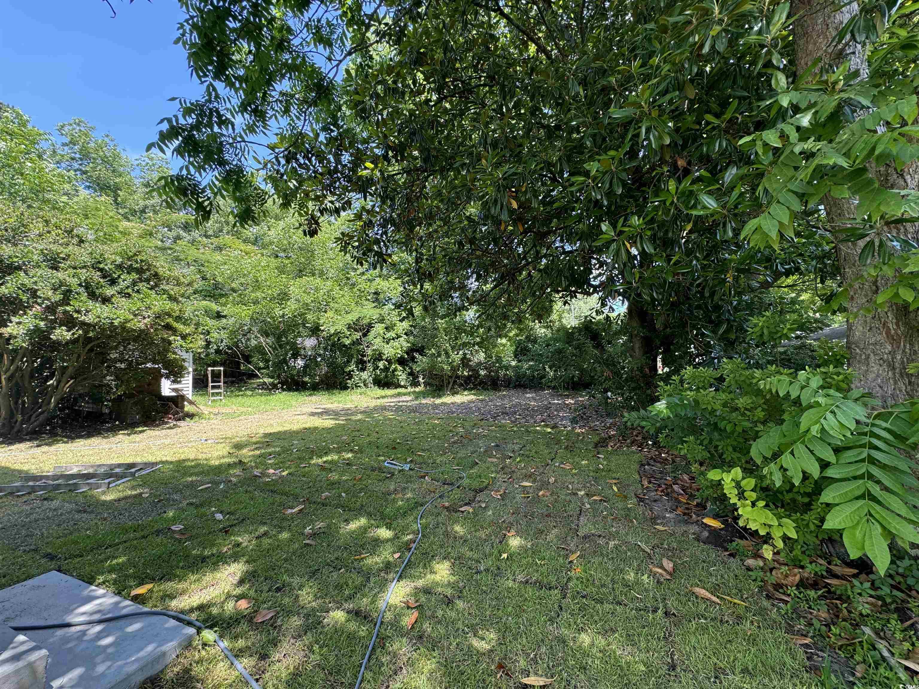 908 Merriman Rd. Property Photo 22