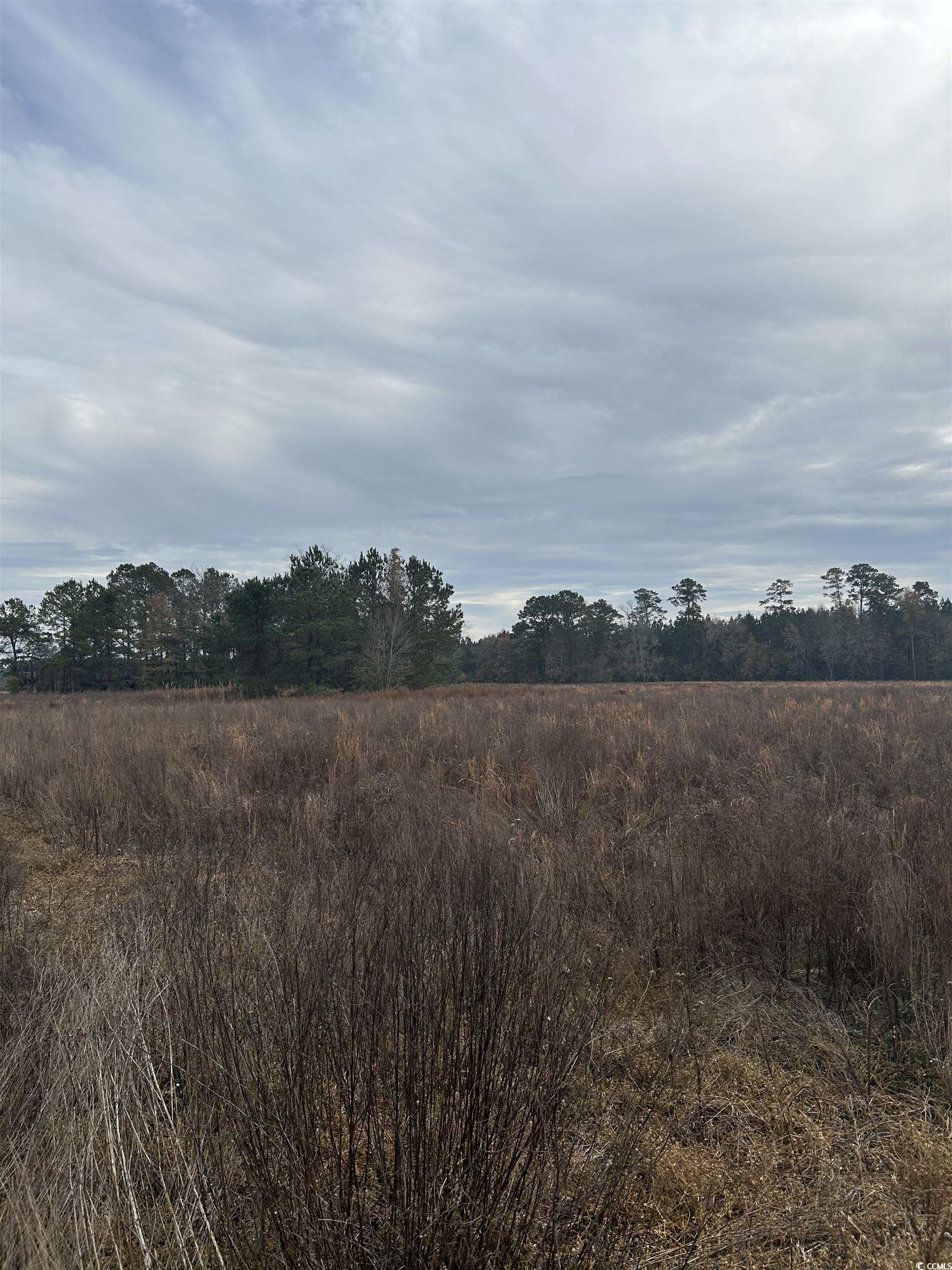 Tbd Williams Hill Rd. Property Photo 2