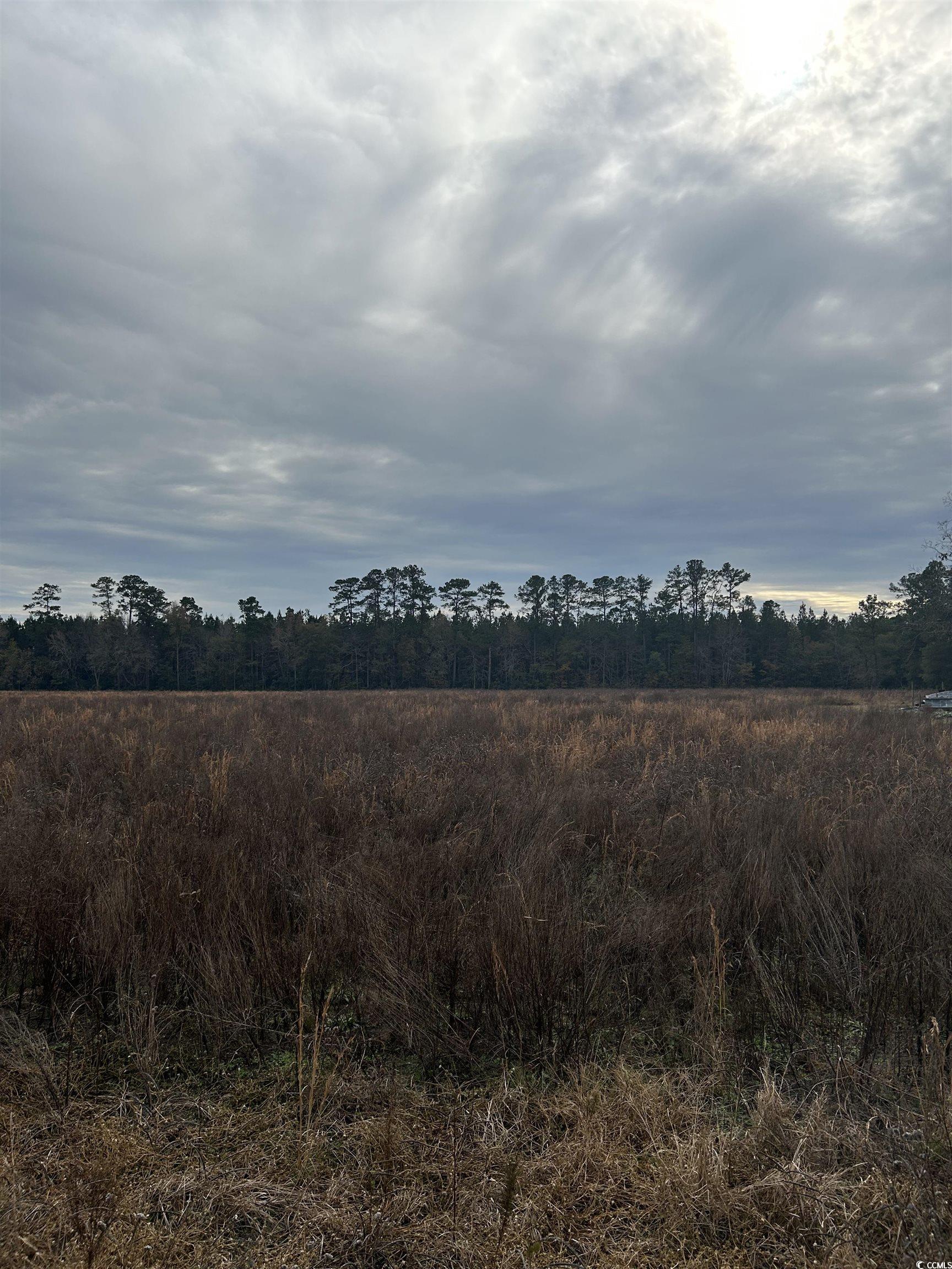Tbd Williams Hill Rd. Property Photo 3