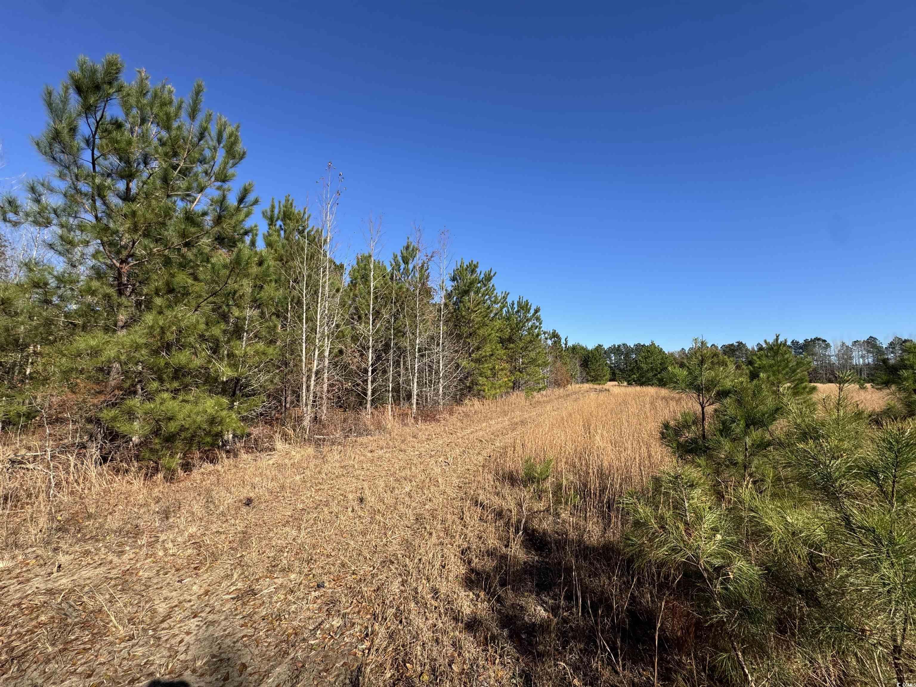 Tbd Sand Plant Rd. Property Photo