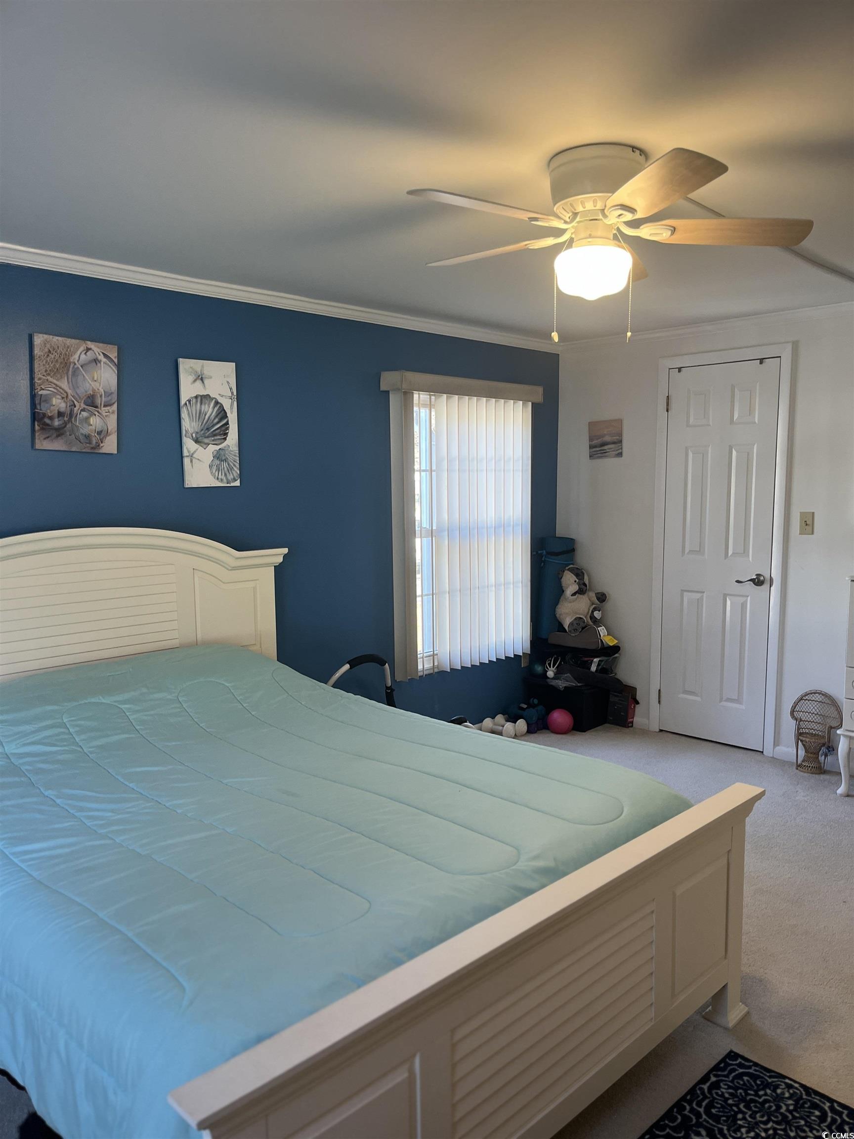 883 Grand Strand Trail Property Photo 18