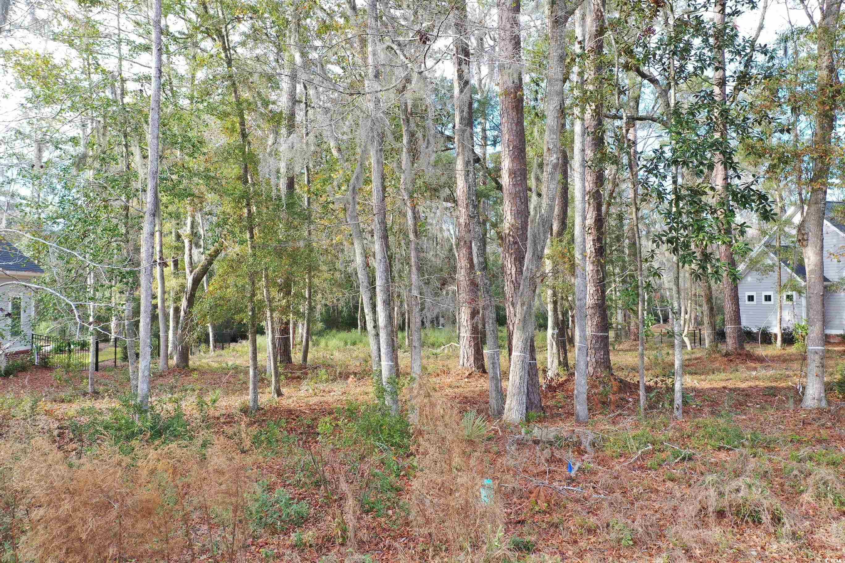 Lot 4 Tuckers Rd. Property Photo