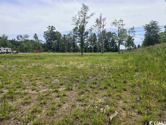 Tbd Mount Olive Church Rd. Property Photo 3