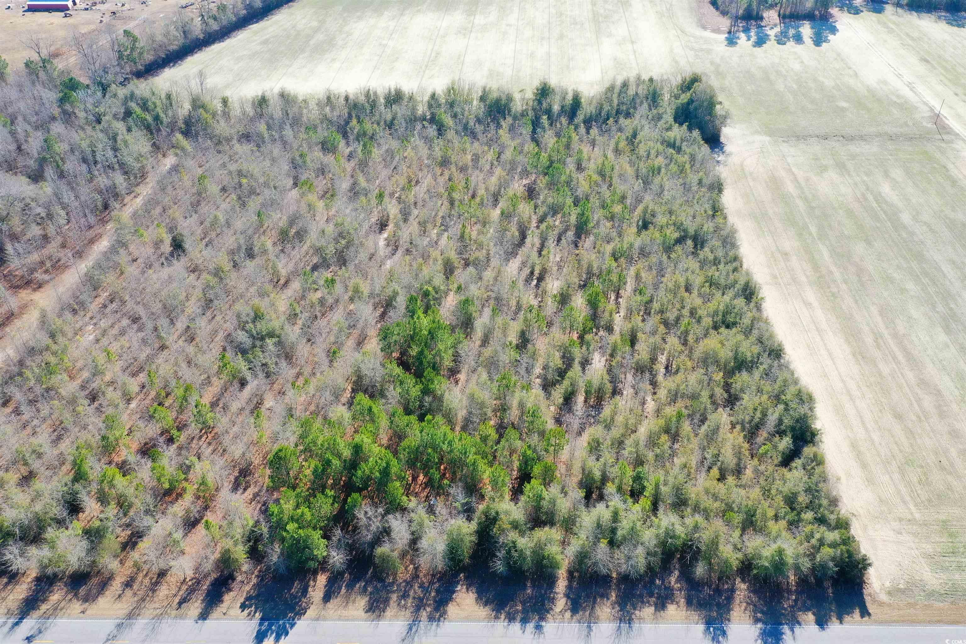 Tbd Highway 76 Property Photo 5