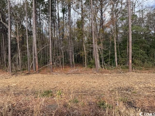 5.02 Acs Kates Bay Hwy. Property Photo 5