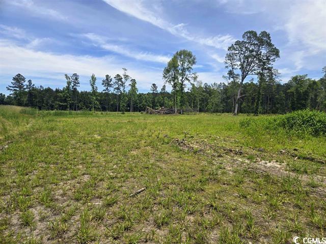 Tbd Mount Olive Church Rd. Property Photo 2